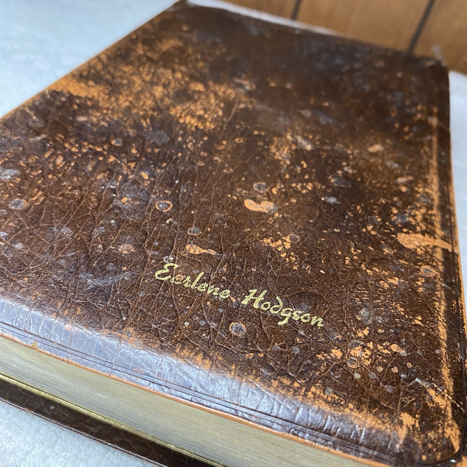 Holy Bible References by Holman 1962 Cowhide Bonded Leather Lined