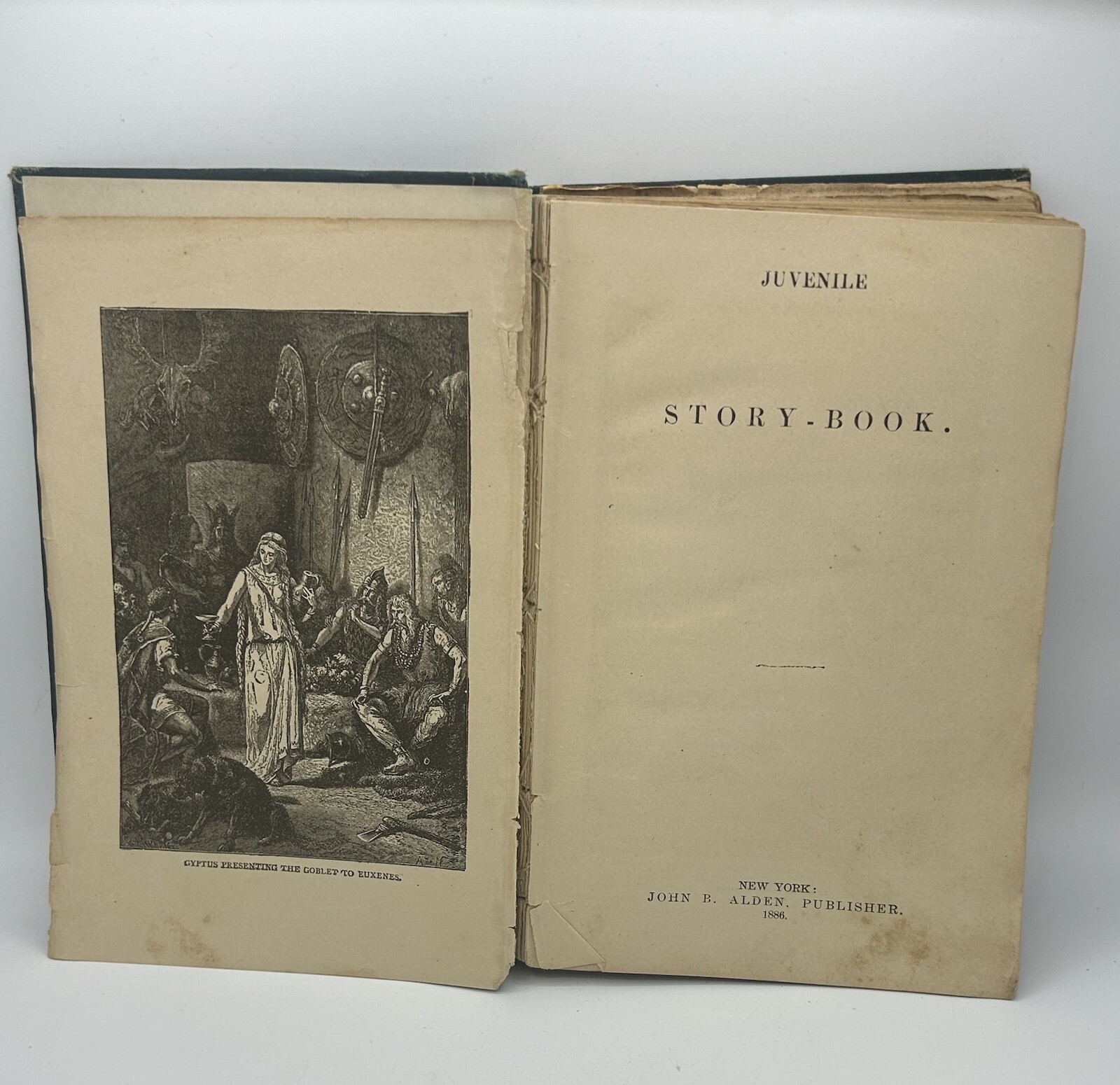 Juvenile story Book – 1886