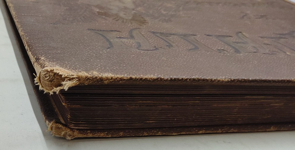 Atala by Chateaubriand 1884 Illustrated by Gustave Dore HC