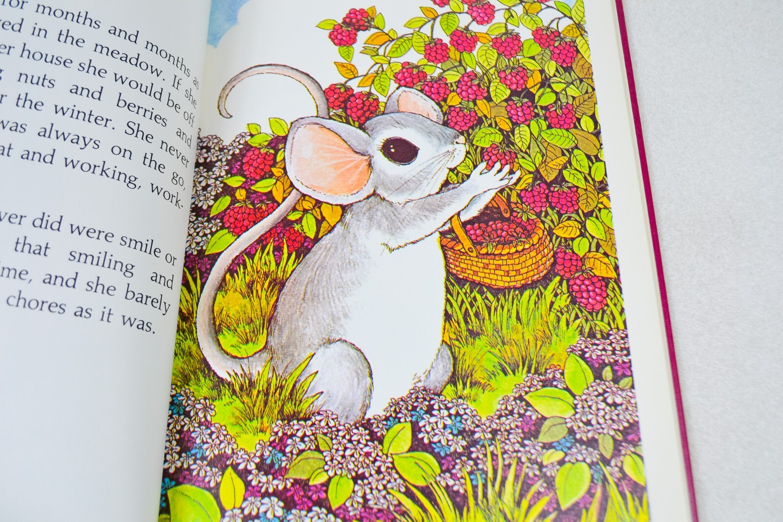 Little Mouse on the Prairie – Serendipity Book Cosgrove & James