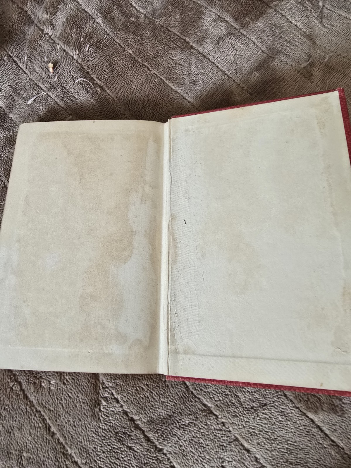 Prue and I Hardcover Short Stories English Literature & Fiction