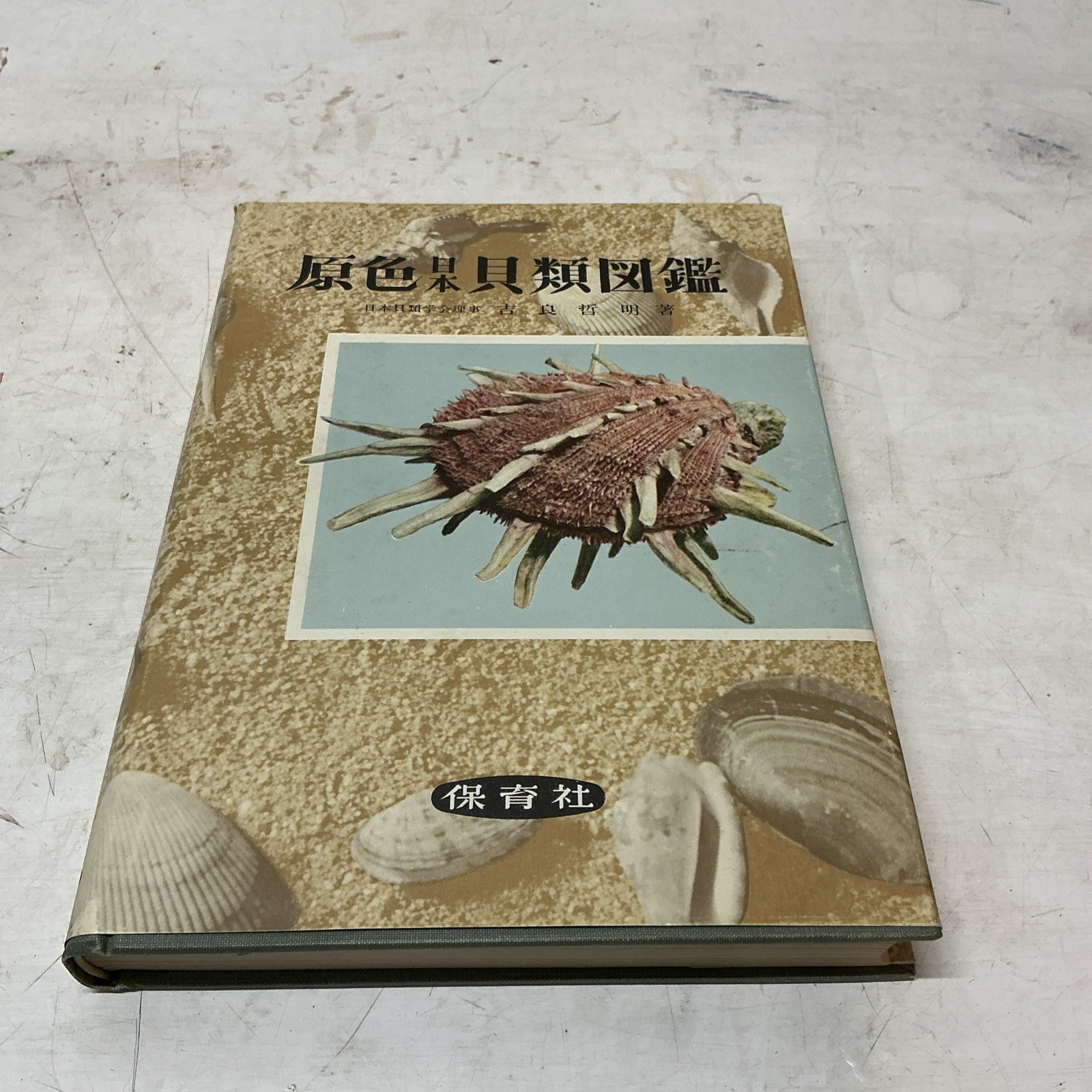 1955 Illustrated Color Guide To Japanese Shells With Slip Case/DJ In Japanese