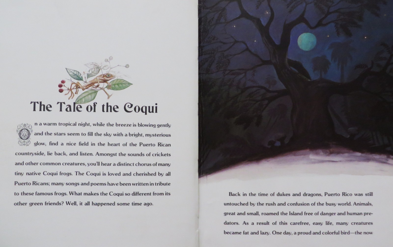 Fairy Tales of Puerto Rico by David Garcia – 1992 Hardcover 1st Edition Stunning