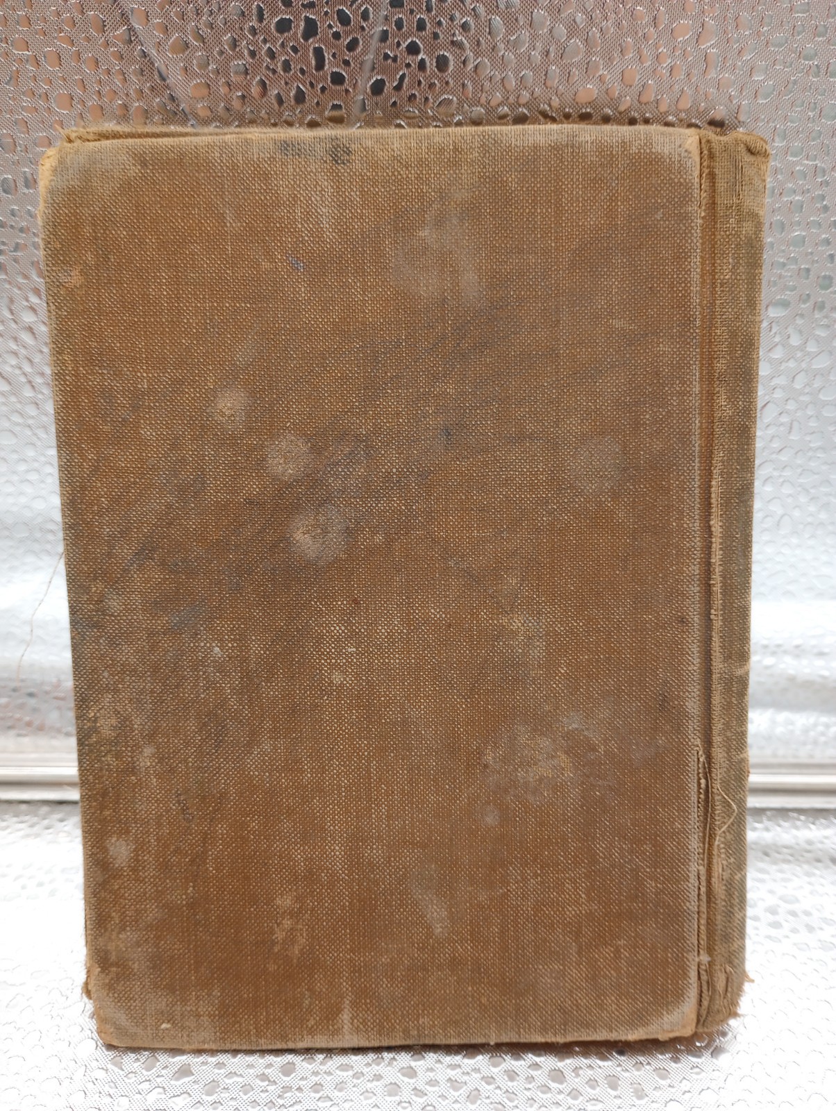 A Spelling Book 1906 NC Edition Alfred Williams & Co. (Raleigh, North Carolina)