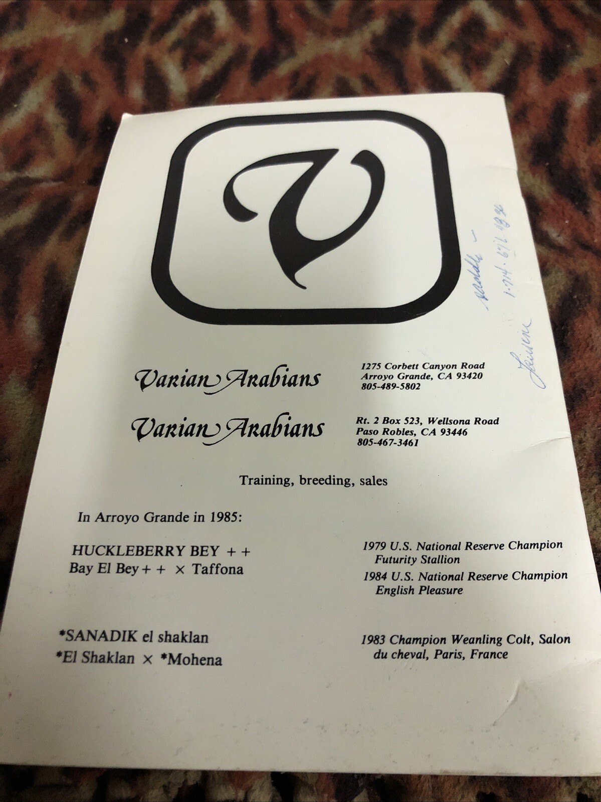 Arabian Horse Association 1985 Membership Directory Vintage Central Coast Of CA