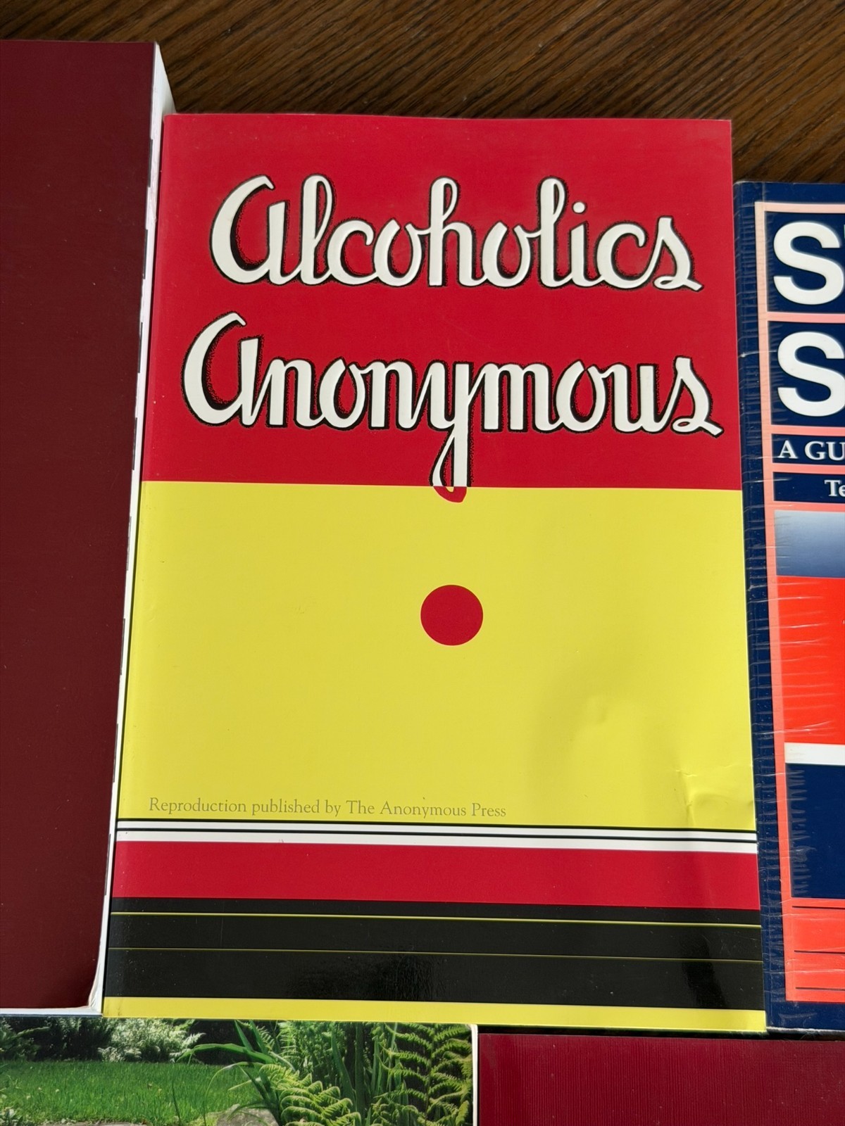 Lot of 5 Alcoholics Anonymous AA Recovery Books Big Book Study Sober Step