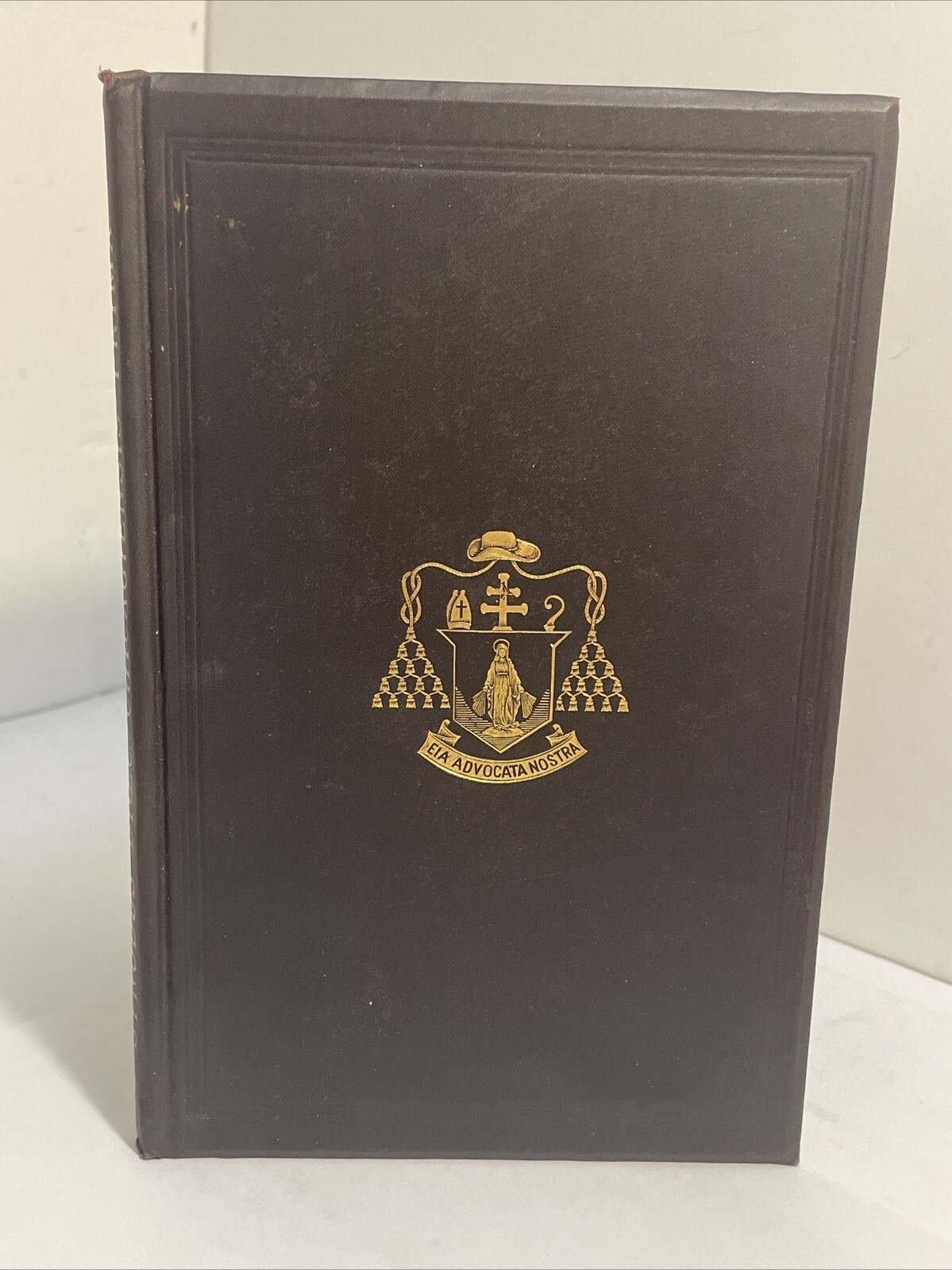 Synodus Dioecesana Chicagiensis Prima; 1ST SYNOD CHICAGO ARCHDIOCESE; 1887 LATIN