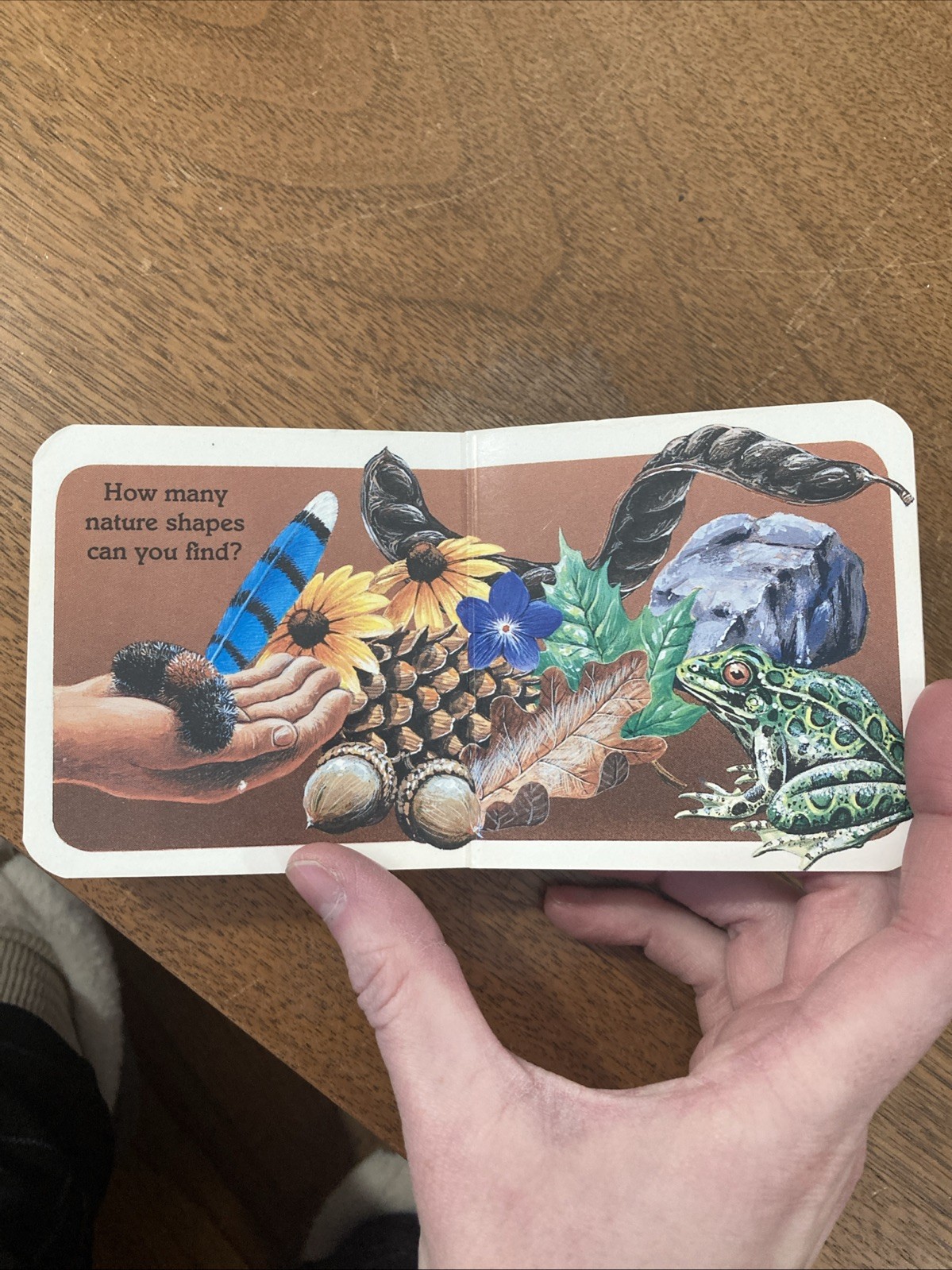 What Is It? Vintage Children’s Board Book National Geographic 1991