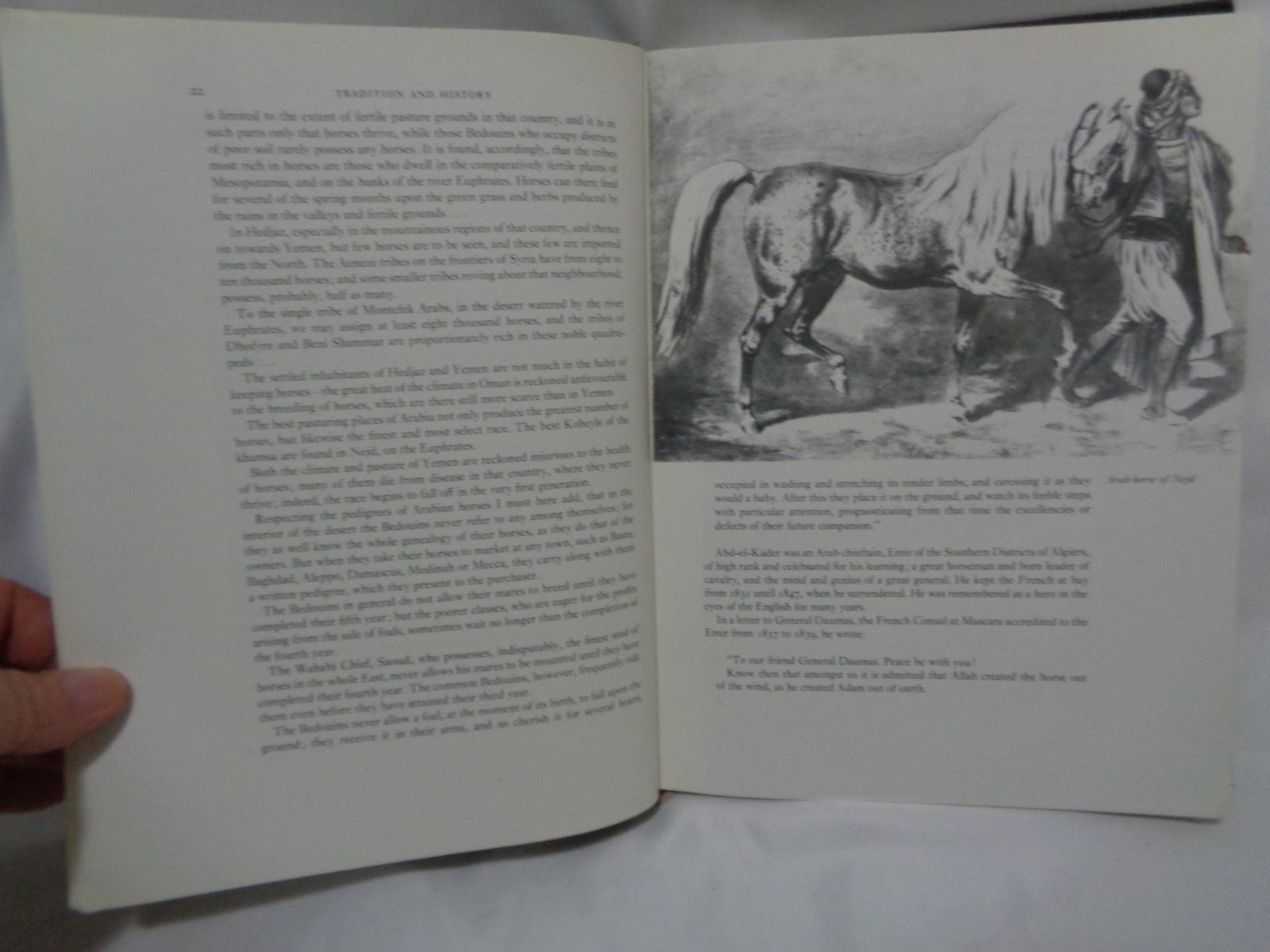 Arabian Exodus Horse Breed History Greeley Original Dustcover