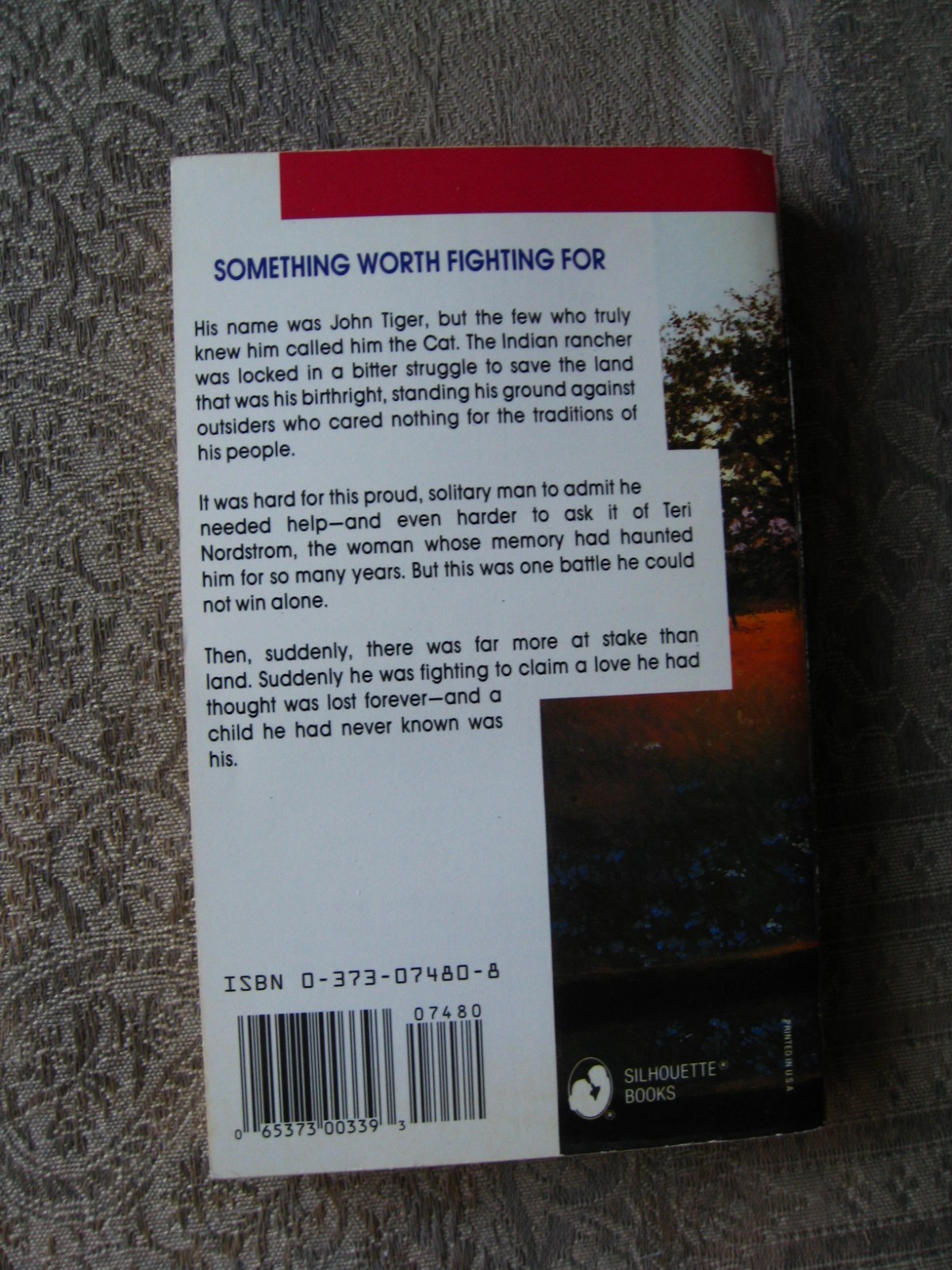 Kathleen Eagle – Diamond Willow (Silhouette Intimate Moments #480) 1993 – PB