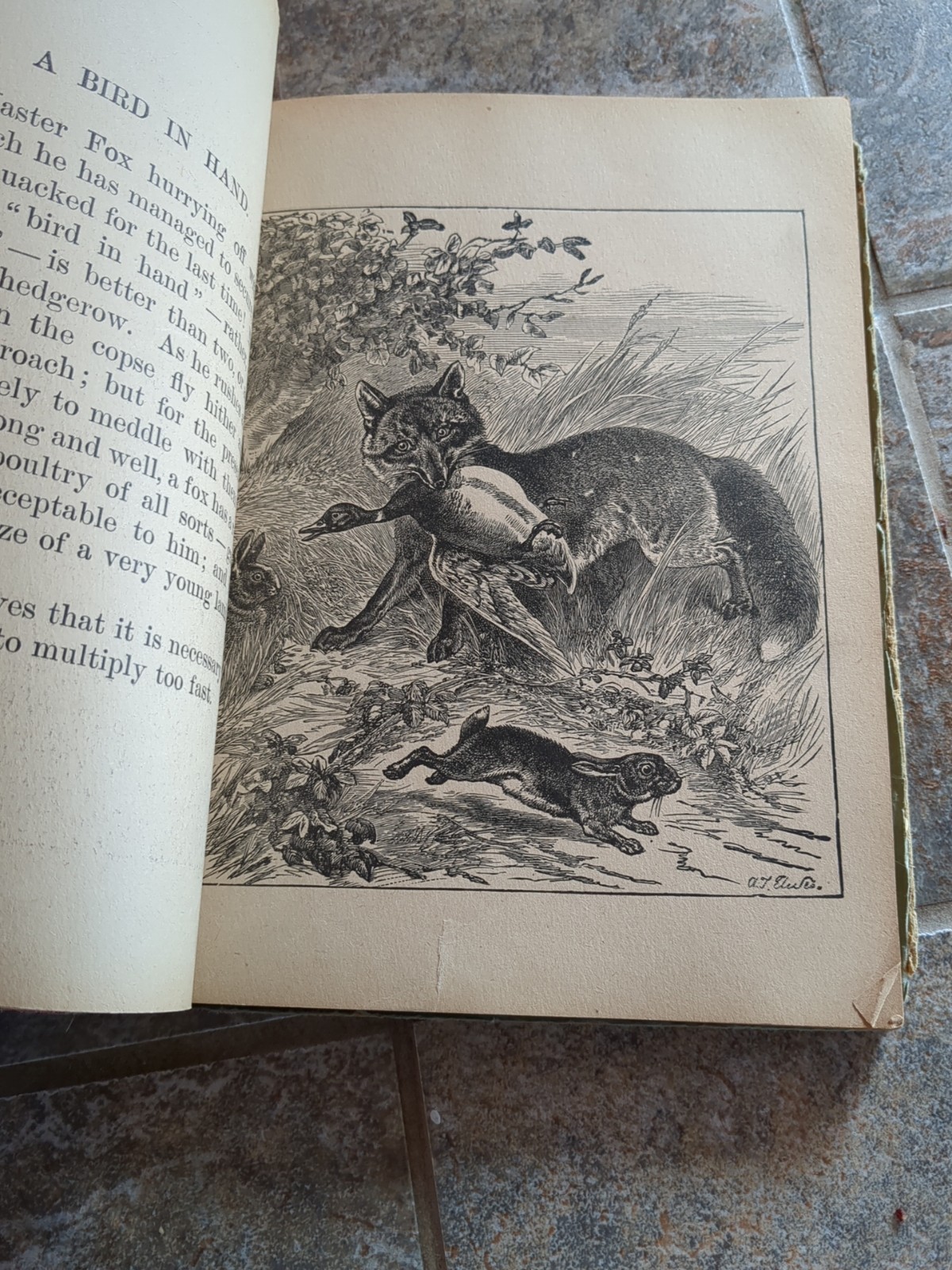 Antique Hardcover Chatterbox Circus Book