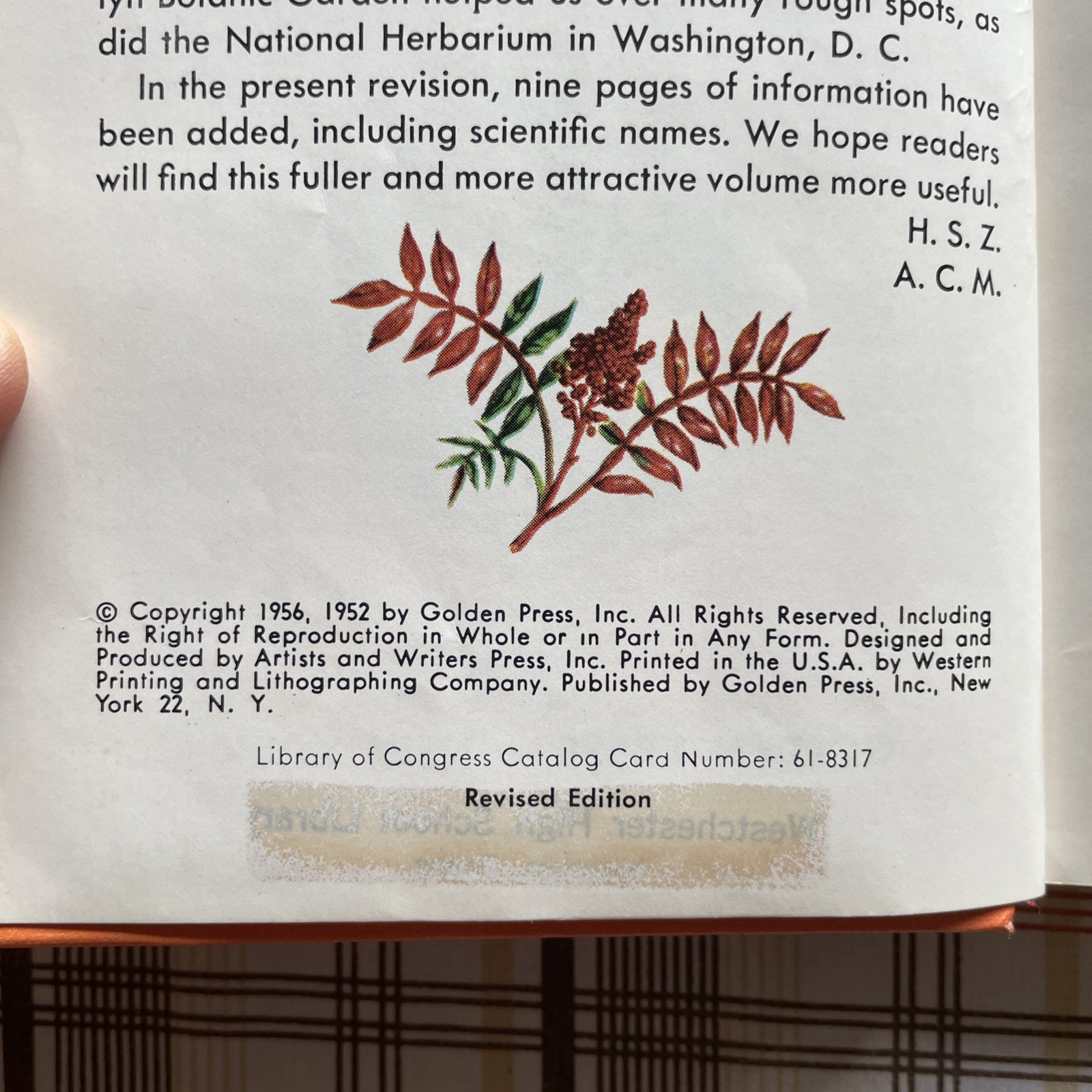 Trees: A Golden Nature Guide to Familiar American Trees (1956 Vintage Ex-Lib HC)