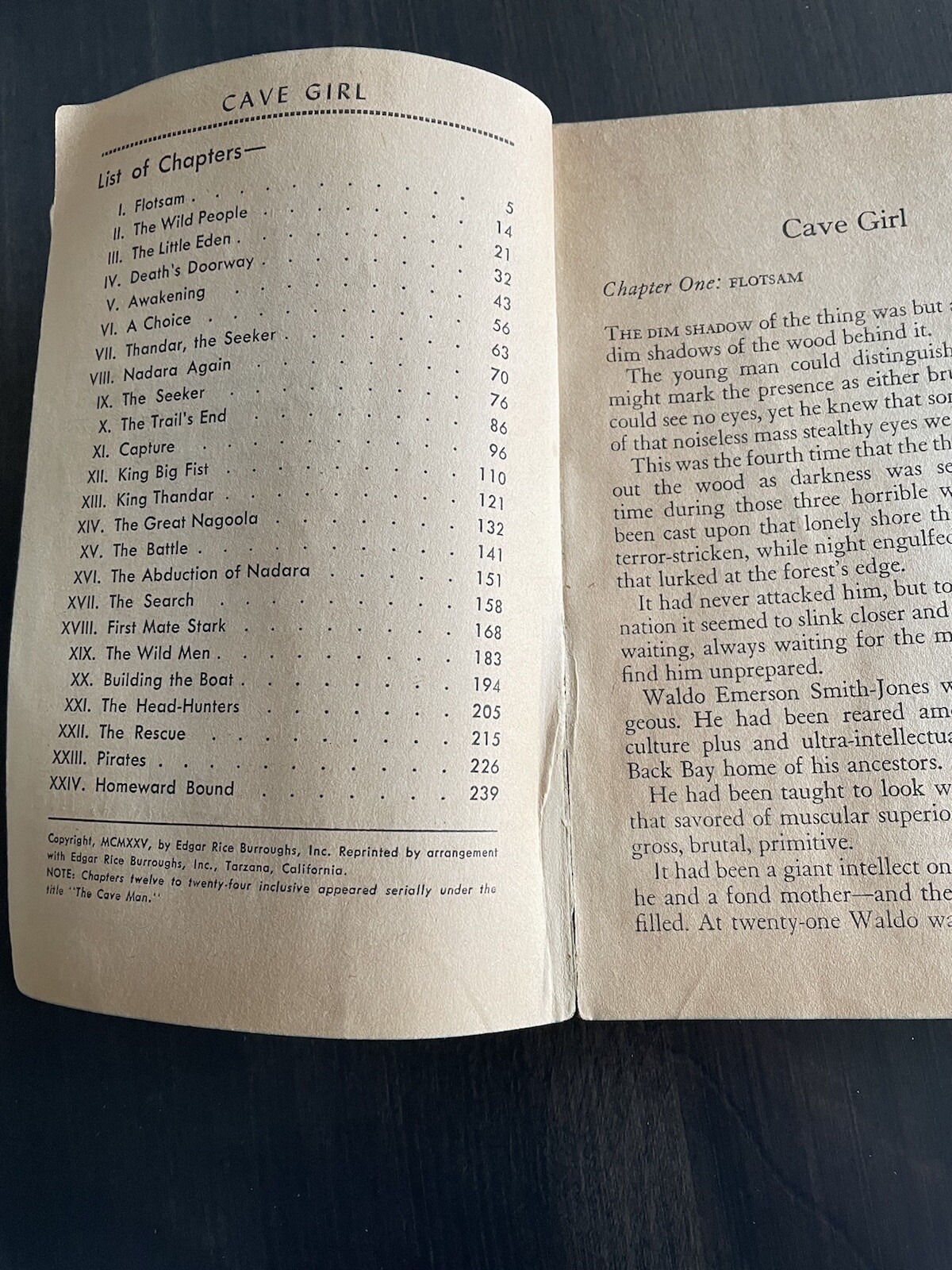 Cave Girl By Edgar Rice Burroughs 1st Edition 1925 Dell #320 Paperback Map Back