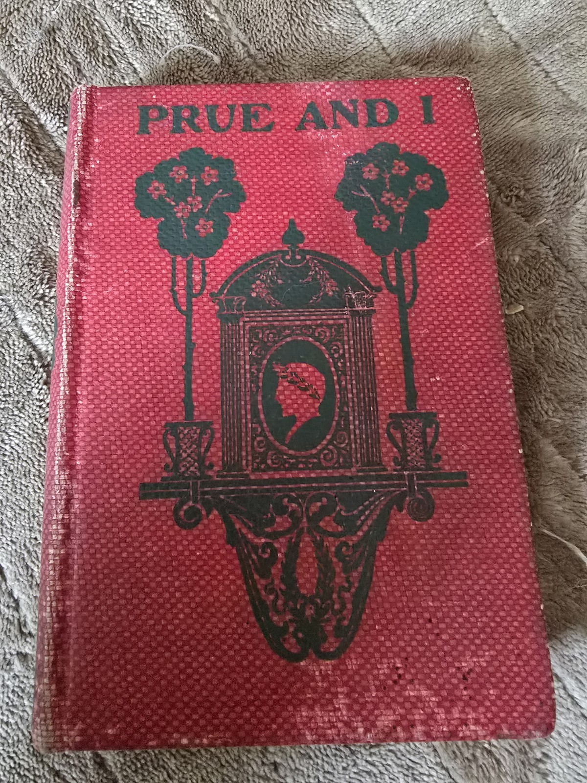 Prue and I Hardcover Short Stories English Literature & Fiction
