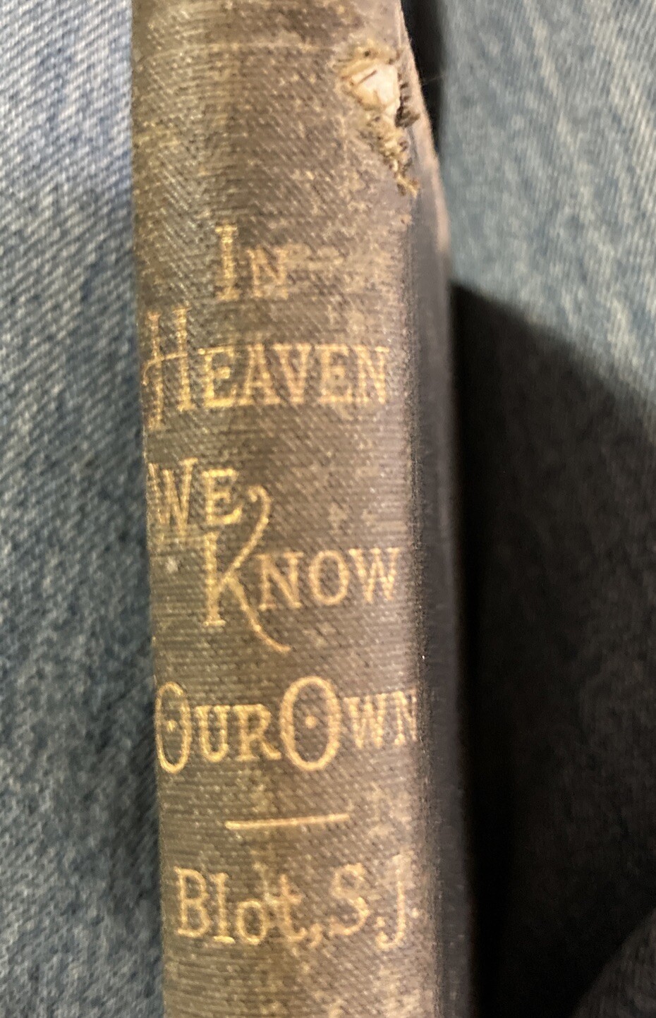 In Heaven We Know our Own Rev. Father Blot 1866