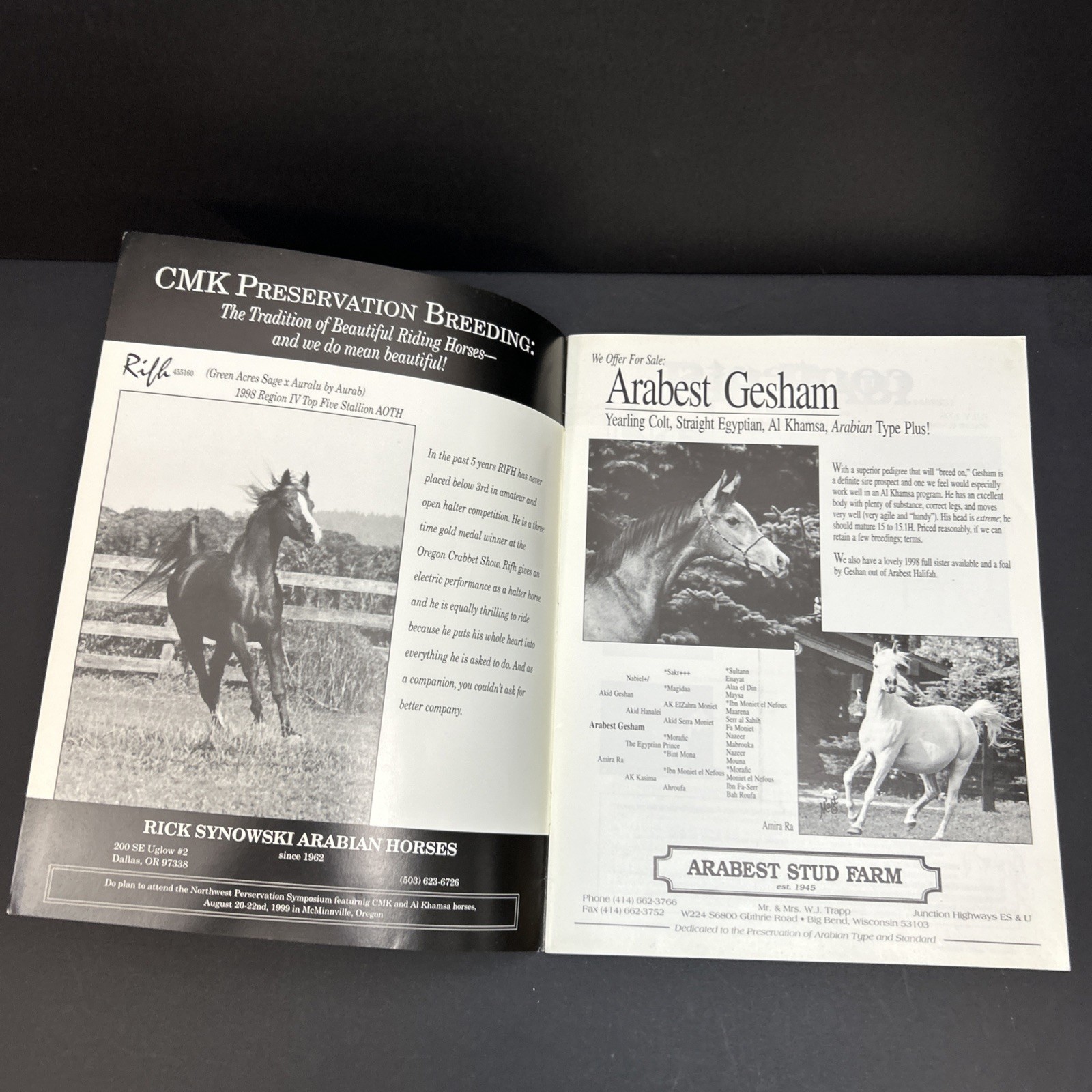 Arabian Visions Magazine Horse July 1998 Vintage