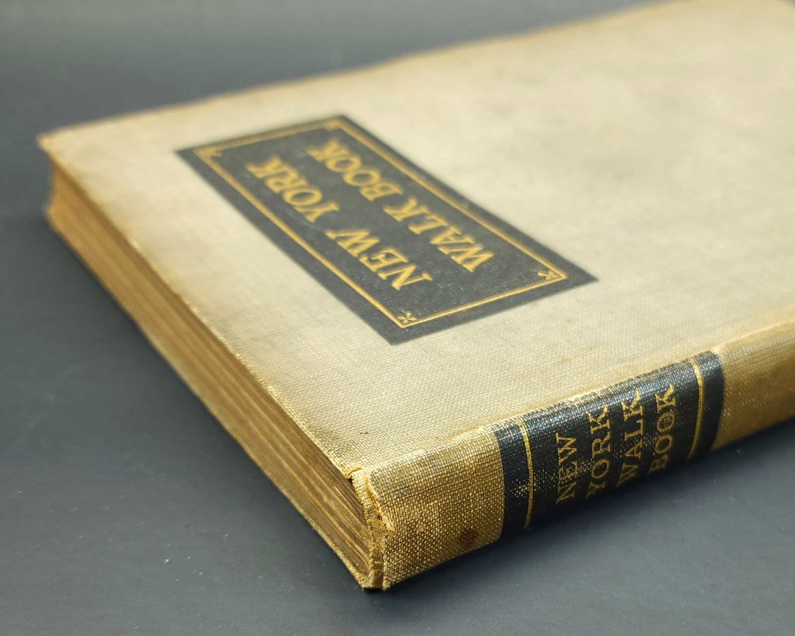 1924 New York Walk Book Guide Illustrated w/ Maps Manhattan Hudson Westchester