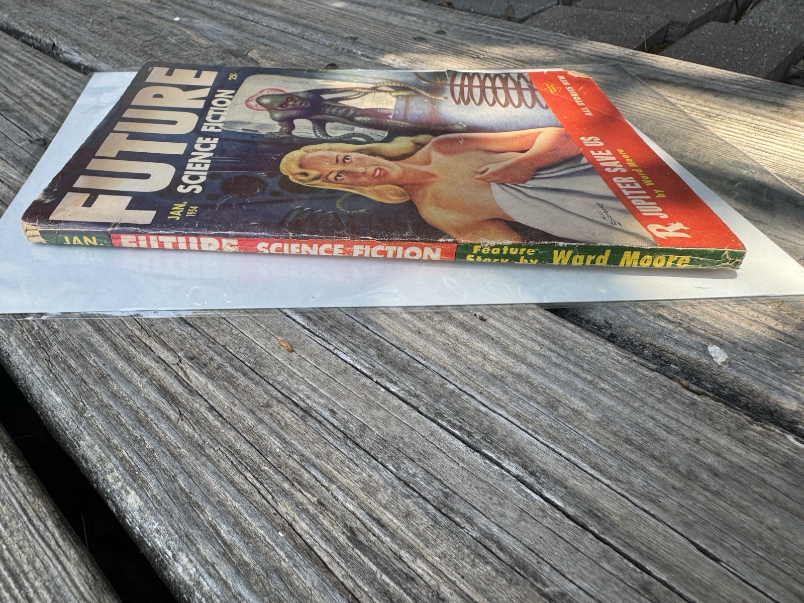 FUTURE SCIENCE FICTION • FANTASTIC STORY • STARTLING STORIES • PLANET STORIES
