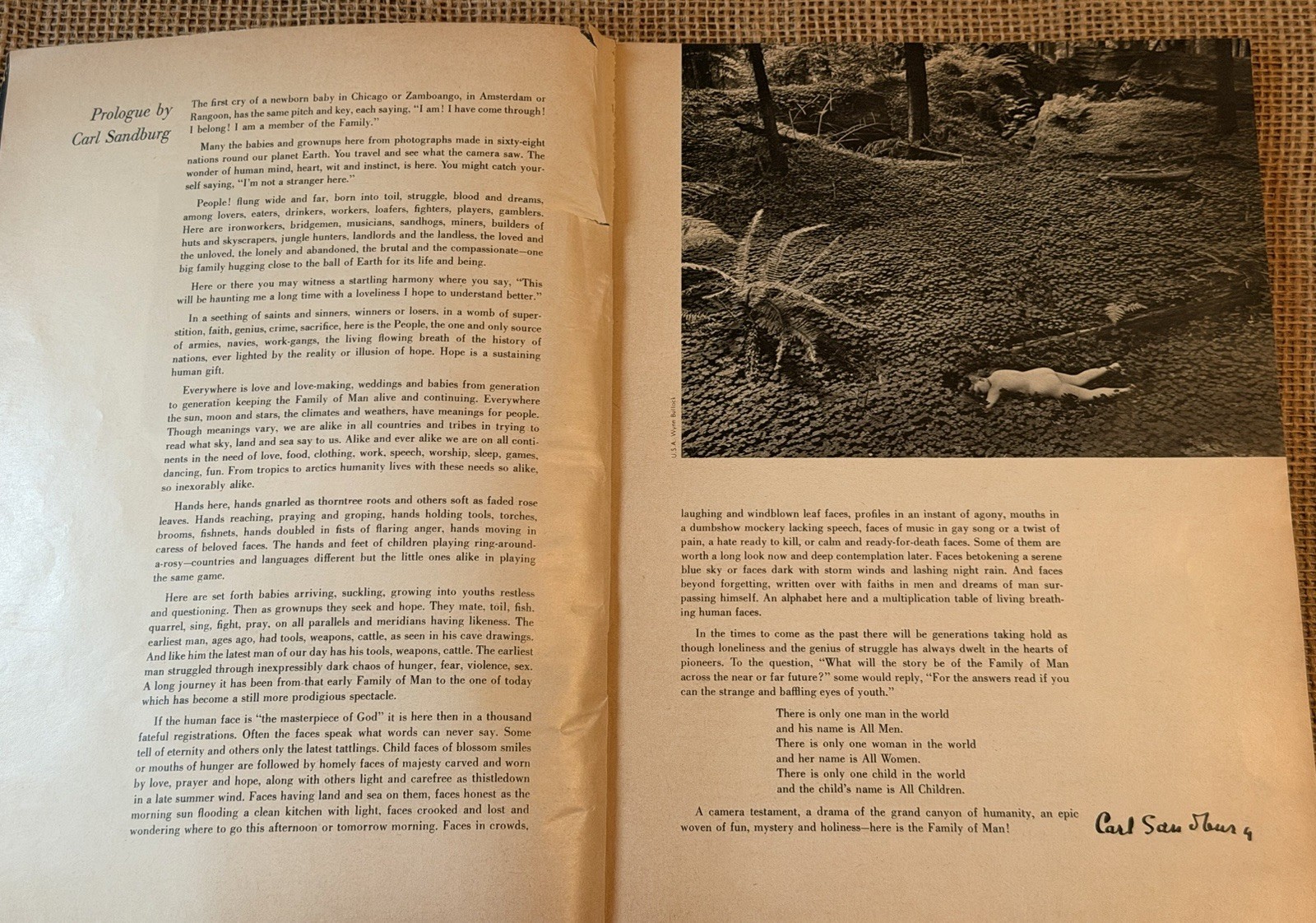 The Family of Man 1st edition 1955 Museum Of Modern Art Book