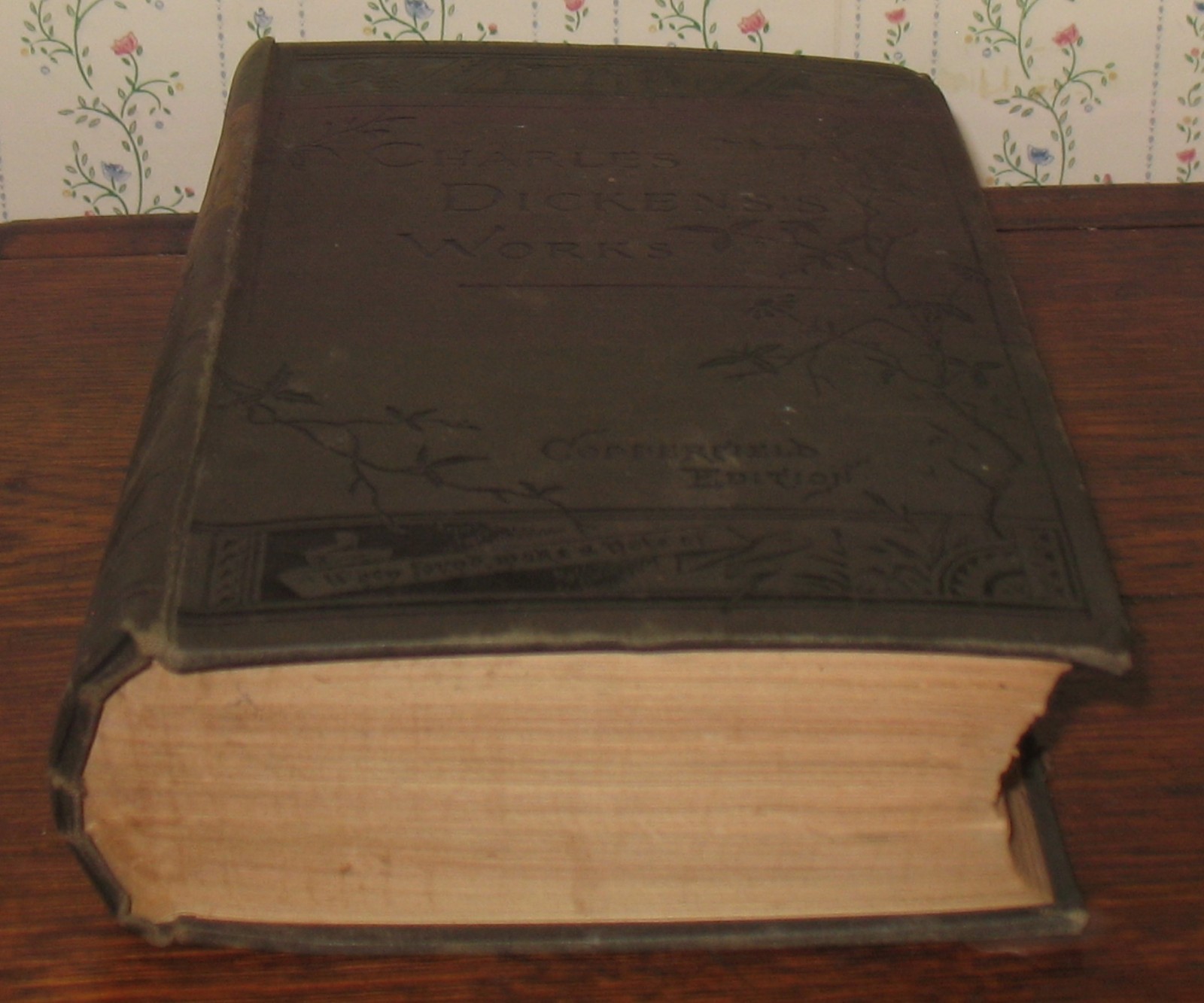 Charles Dickens’s Works☆ Dombey & Son~ Copperfield Edition Hardcover/ Routledge