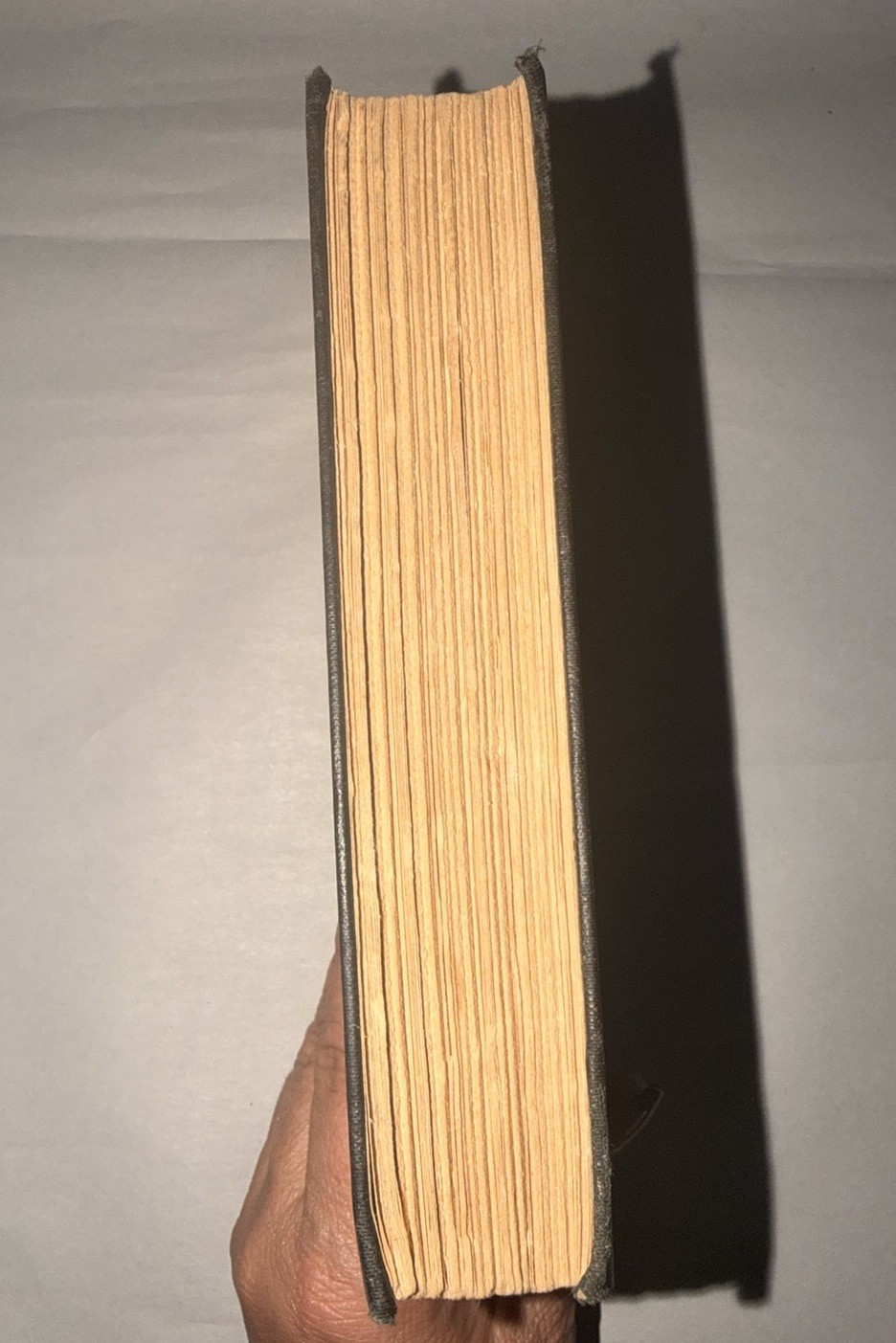 1929 They Still Fall in Love Jesse Lynch Williams Signed Inscribed Hardcover
