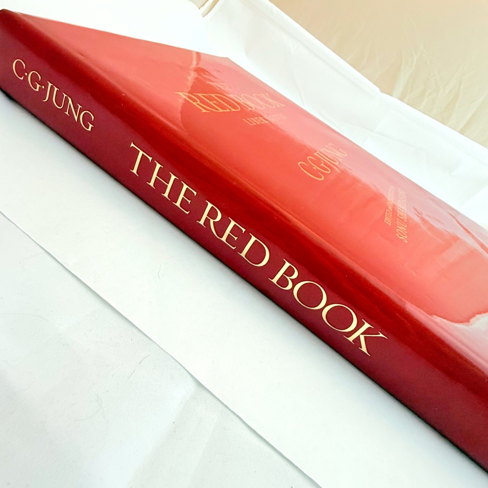 Carl Jung Red Book: LARGE Liber Novus First Edition Hardcover with Dust Jacket