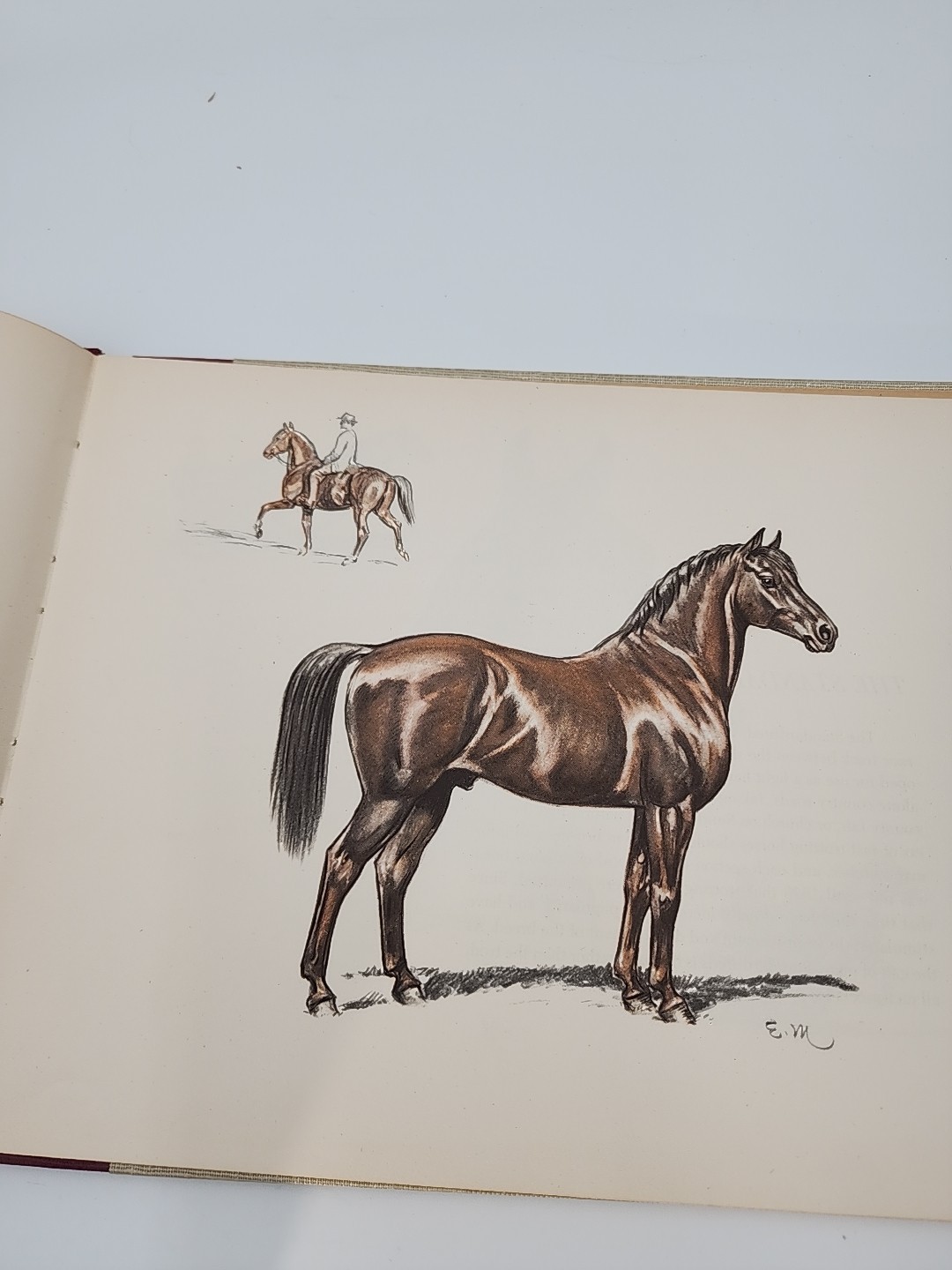 Vintage 1946 Horses – Edwin Megargee Illustrated Oversized Volume Various Breeds