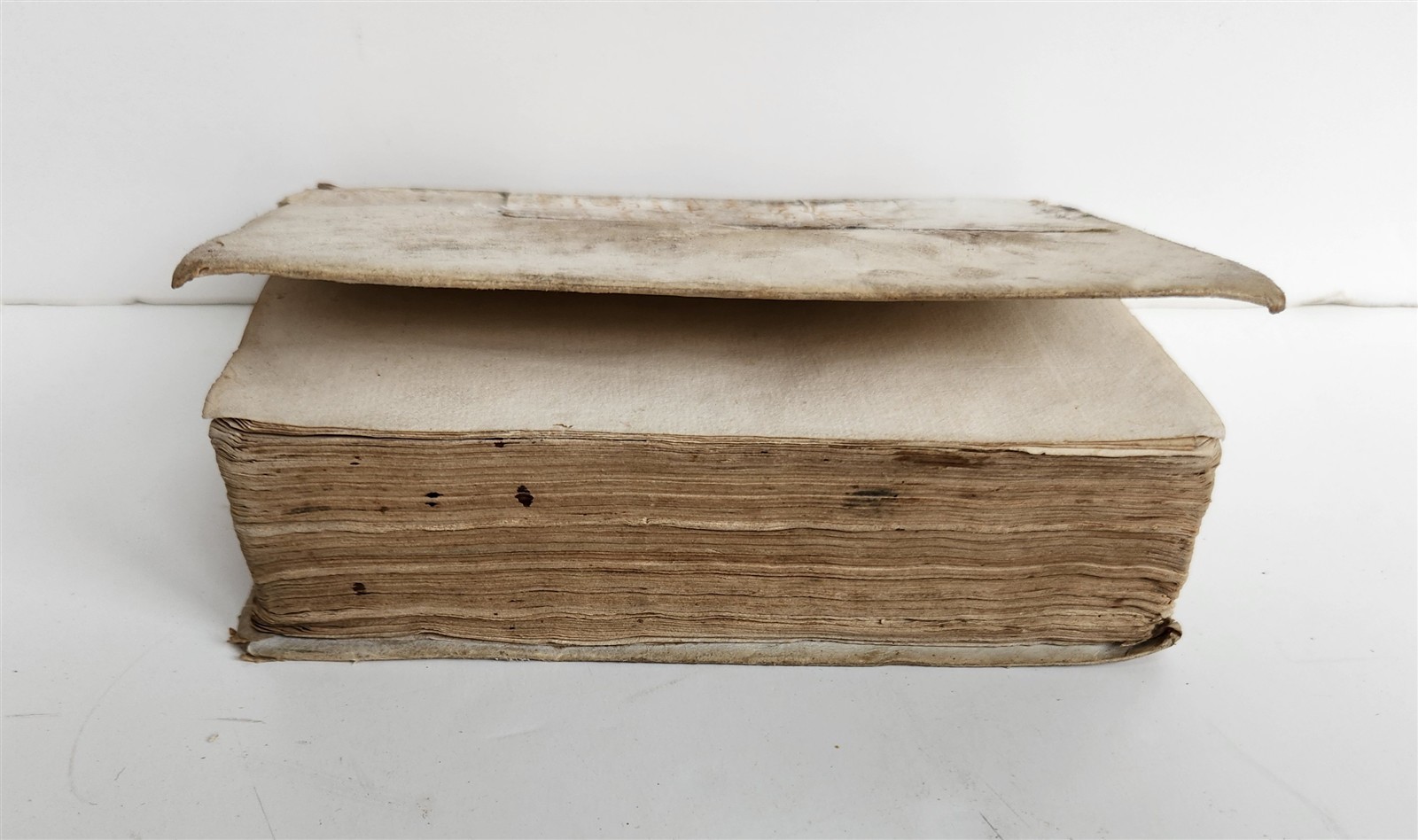 1566 ALDINE PRESS GREEK LANGUAGE GRAMMAR antique URBANUS BELLUNENSIS vellum