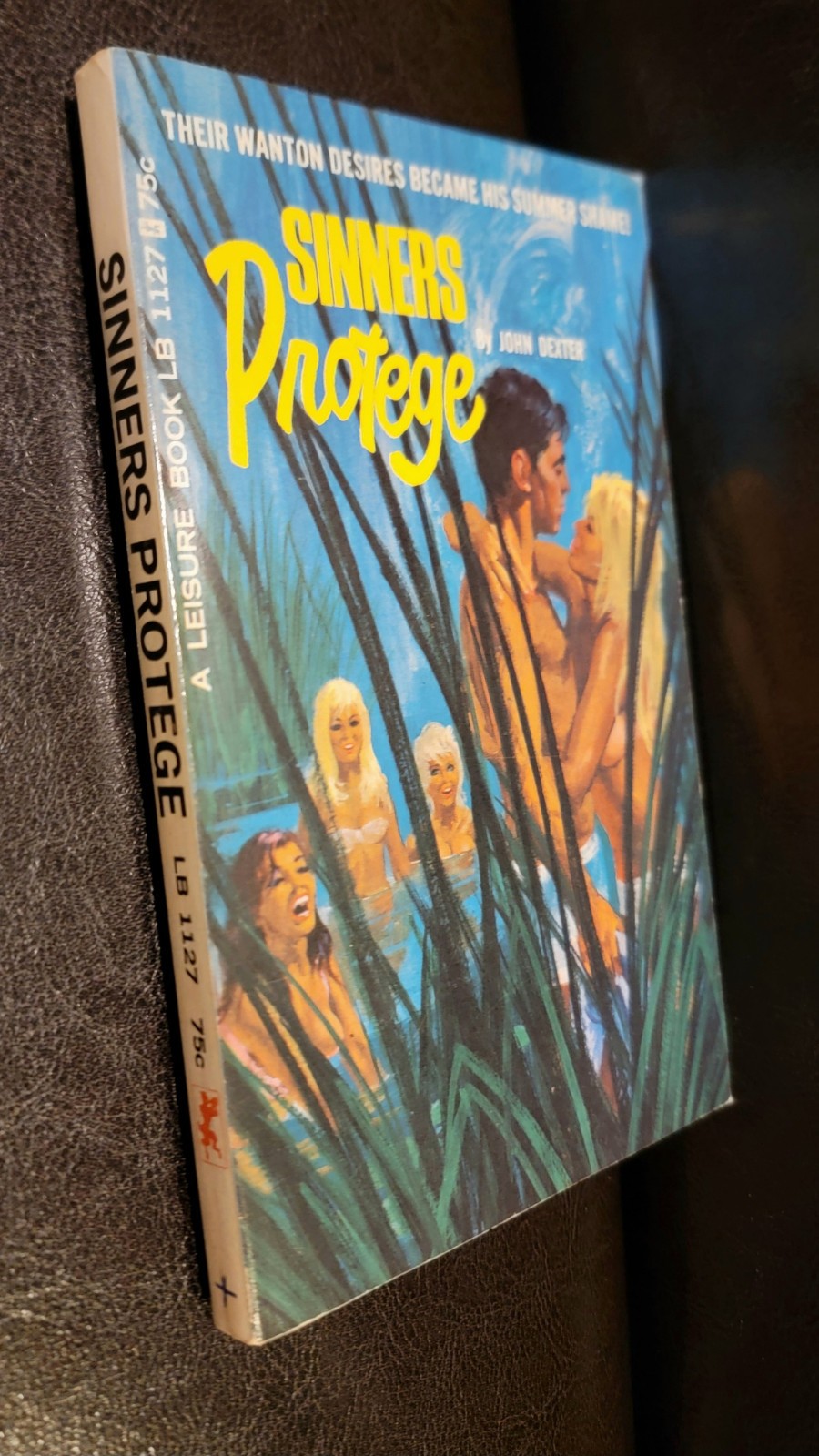 Sinners Protege John Dexter Leisure Book LB 1127 1966 Bonfils RARE HIGH GRADE