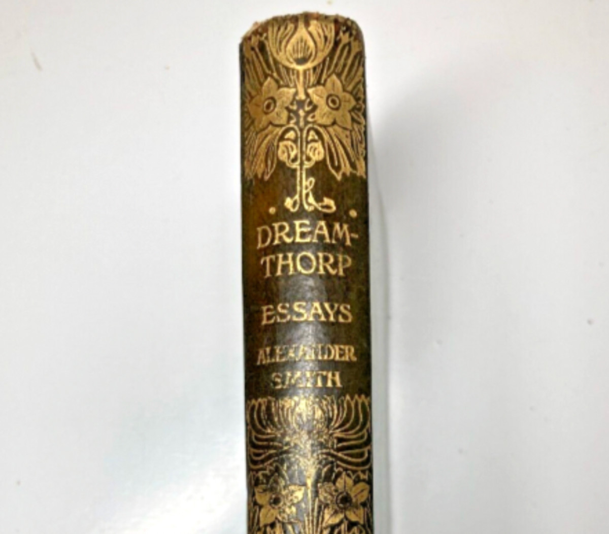 ART NOUVEAU LEATHER BINDING c.1906 | SMITH “DREAMTHORP” | GILT SPINE