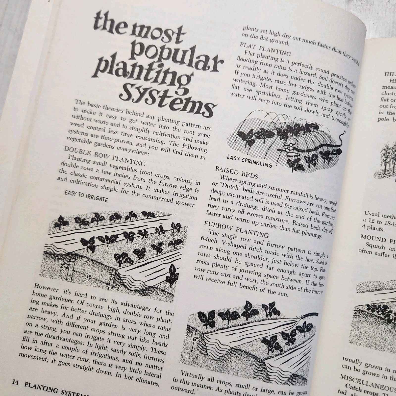 Vintage Vegetable Gardening A Sunset Book Lane Books 22nd Printing 1974