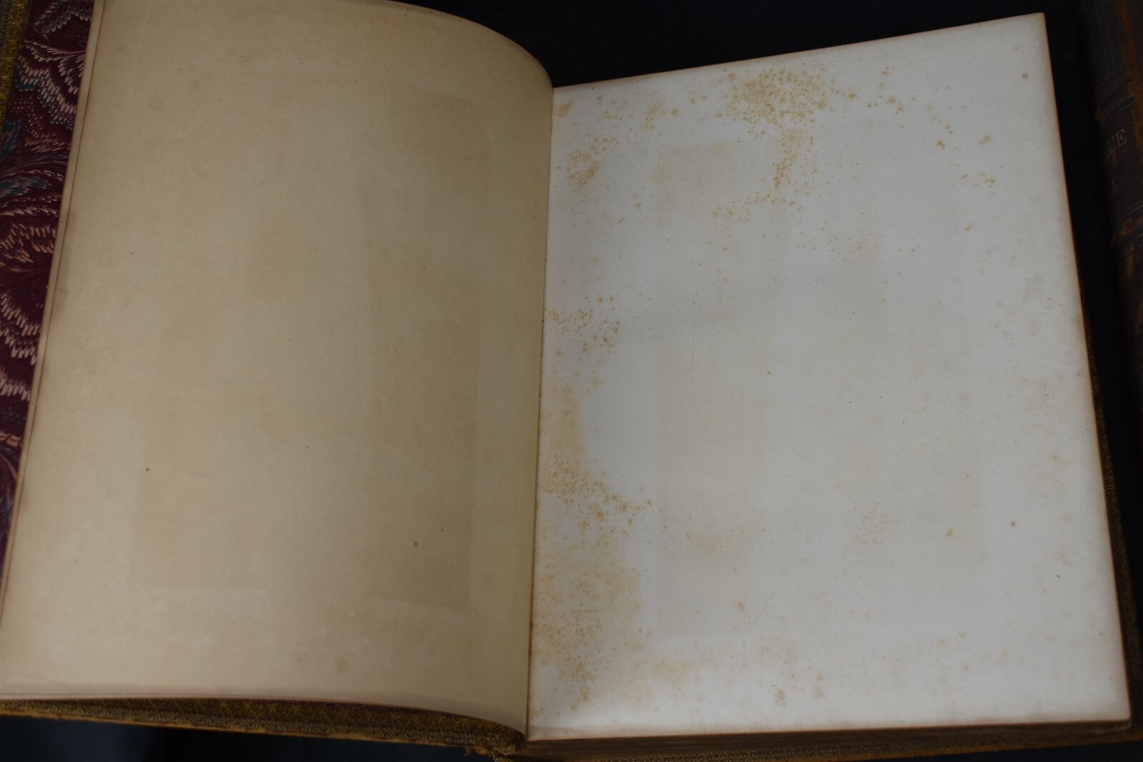 Picturesque America Vol 1 & 2 Leather Bound 1st Edition