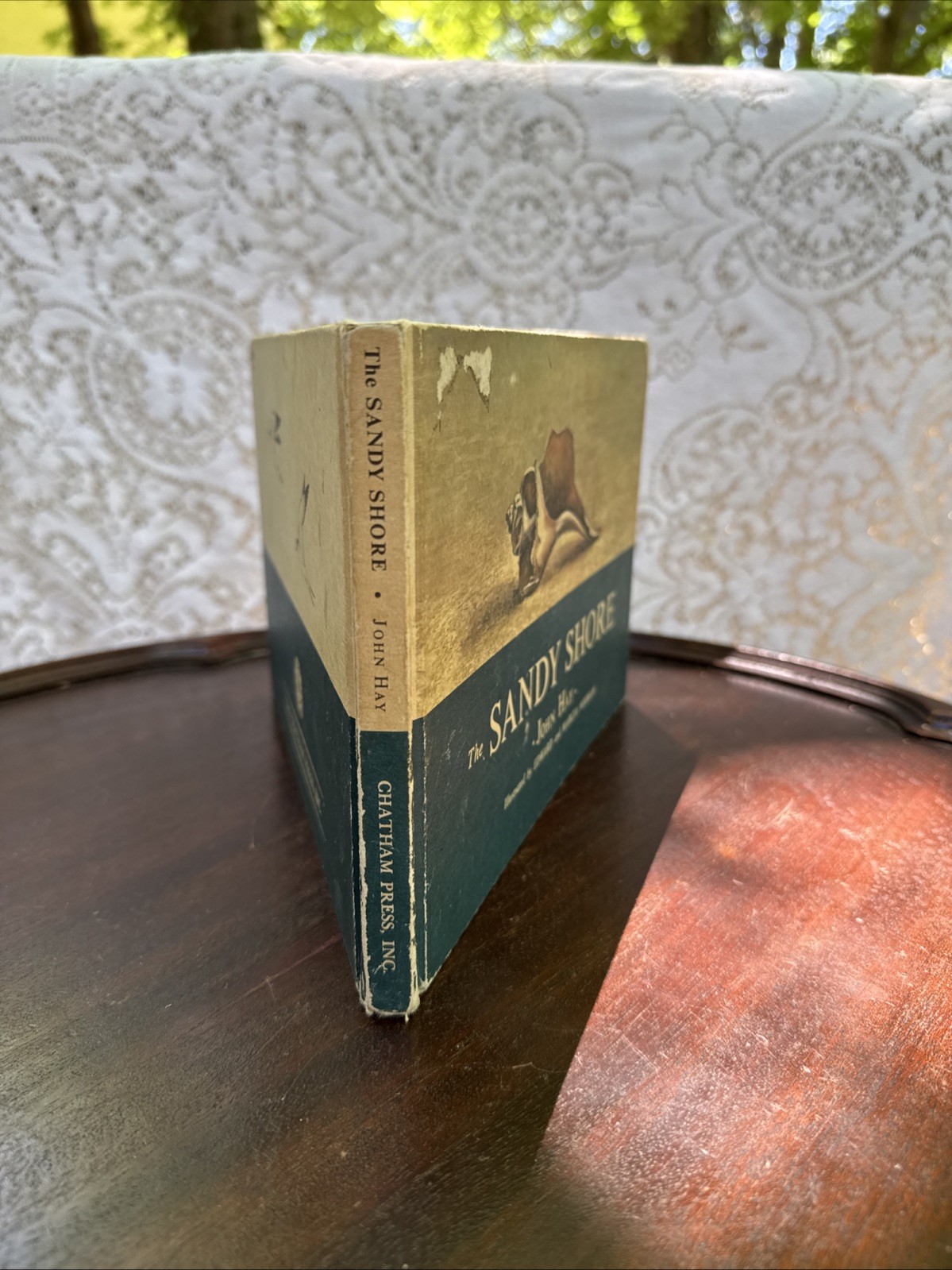 John Hay THE SANDY SHORE 1st Ed 1969 Edward Marcia Norman Illus DJ Nature