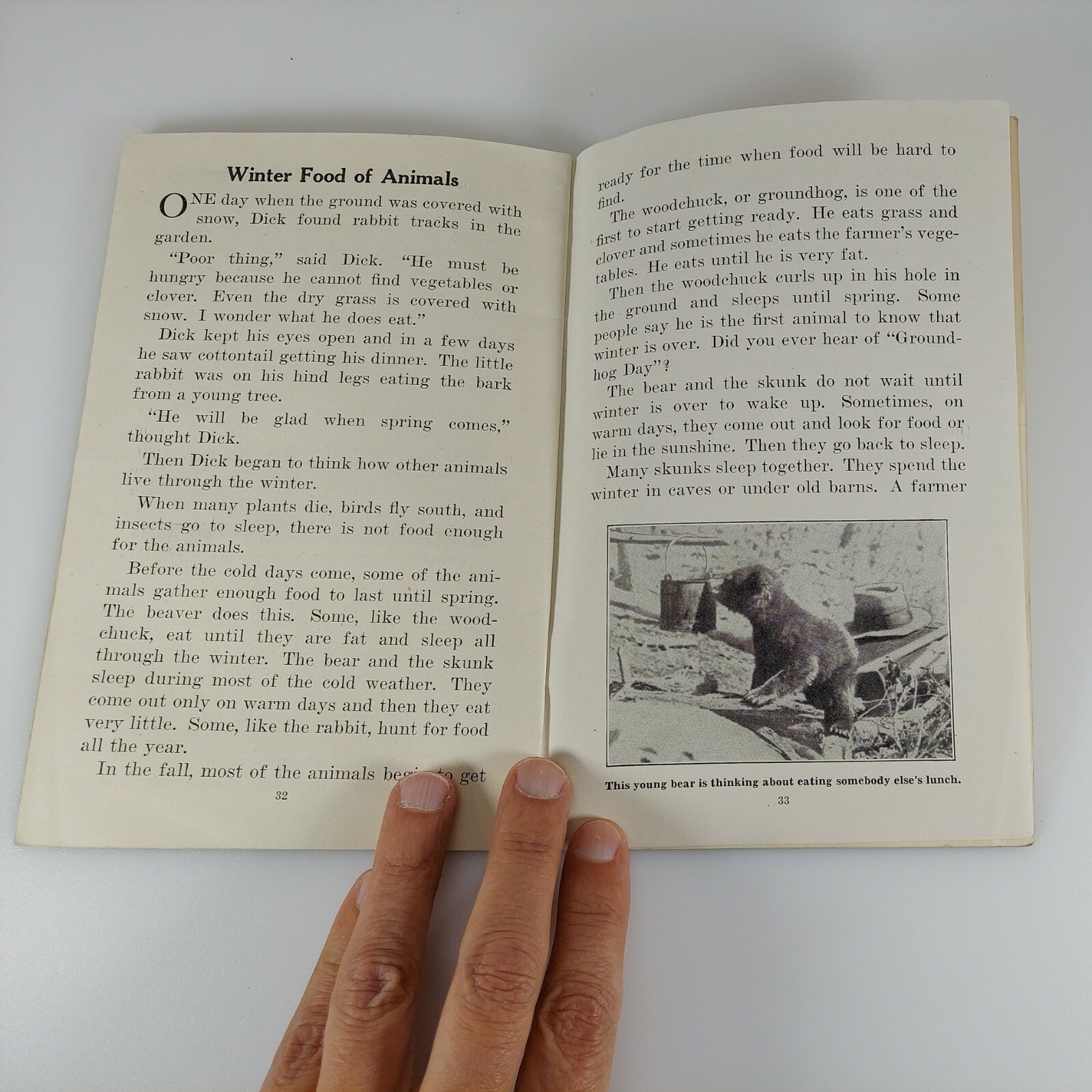 What Animals Eat, Frances Lacy, Unit Study Book No. 355, 1943 Education Book