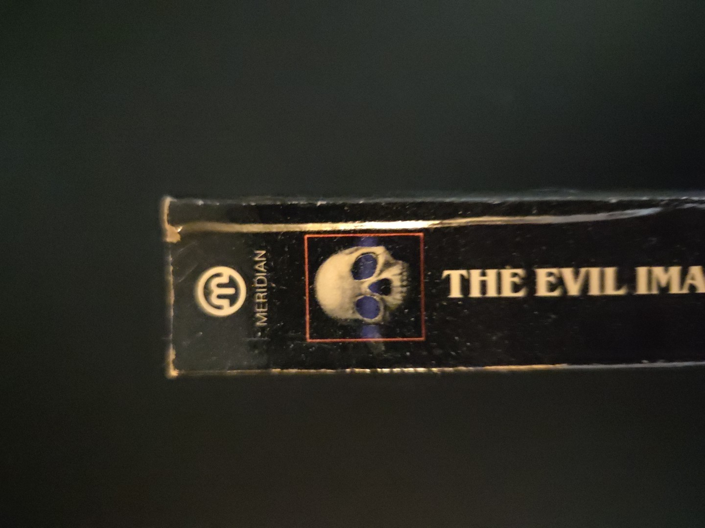 Vintage The Evil Image: Two Centuries of Gothic Short Fiction and Poetry PB King