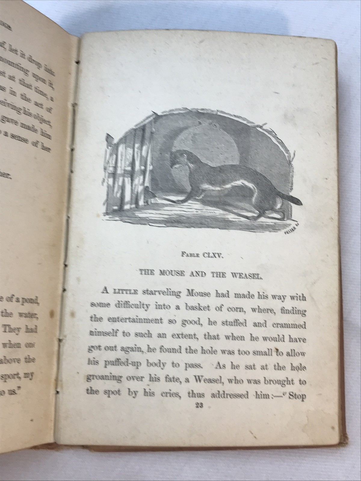 Antique Aesop Fables Illustrated 50+ Detailed Woodcuts 224 Pages Thomas James