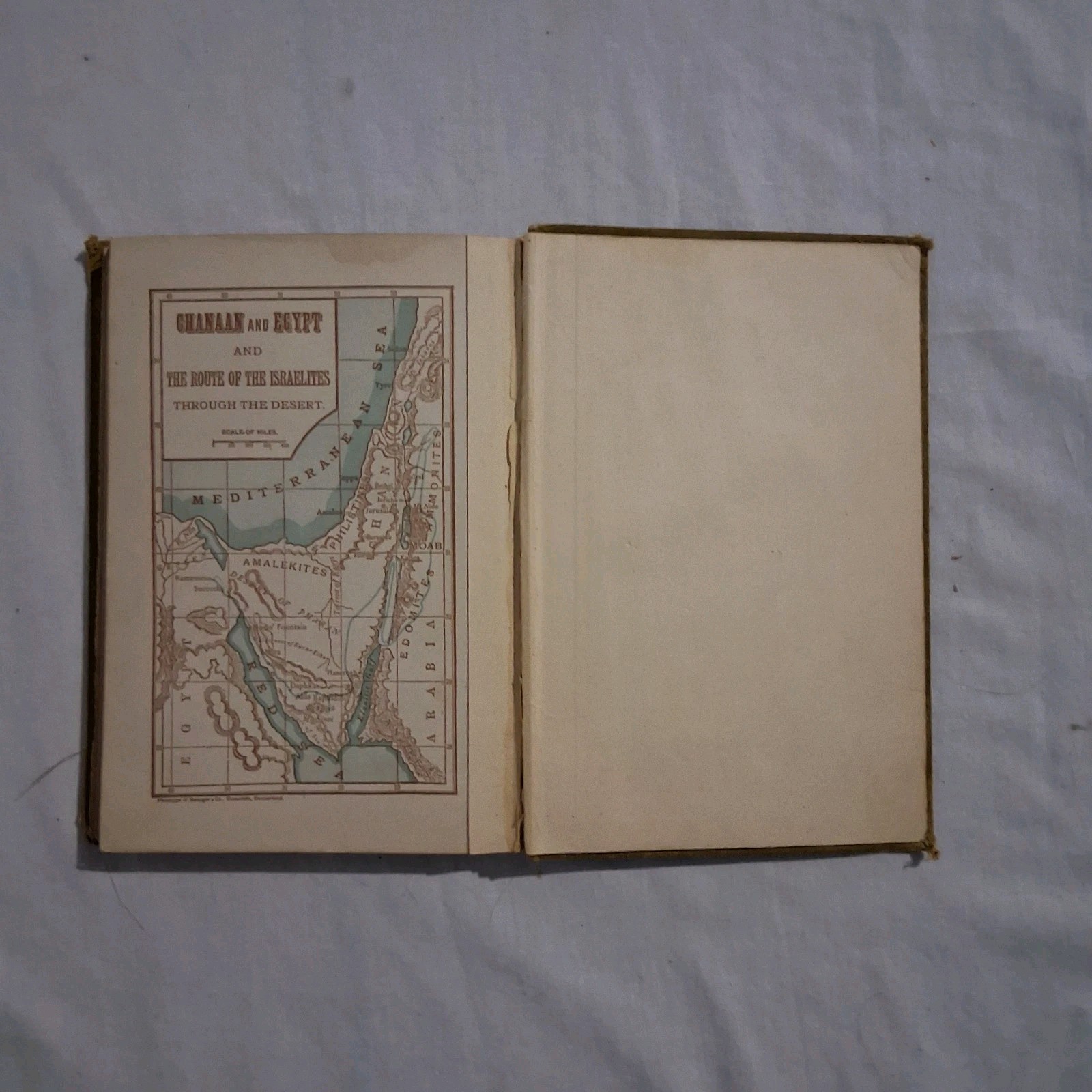 Antq Bible History 1904 Benziger Brothers Old & New Testament + Church History