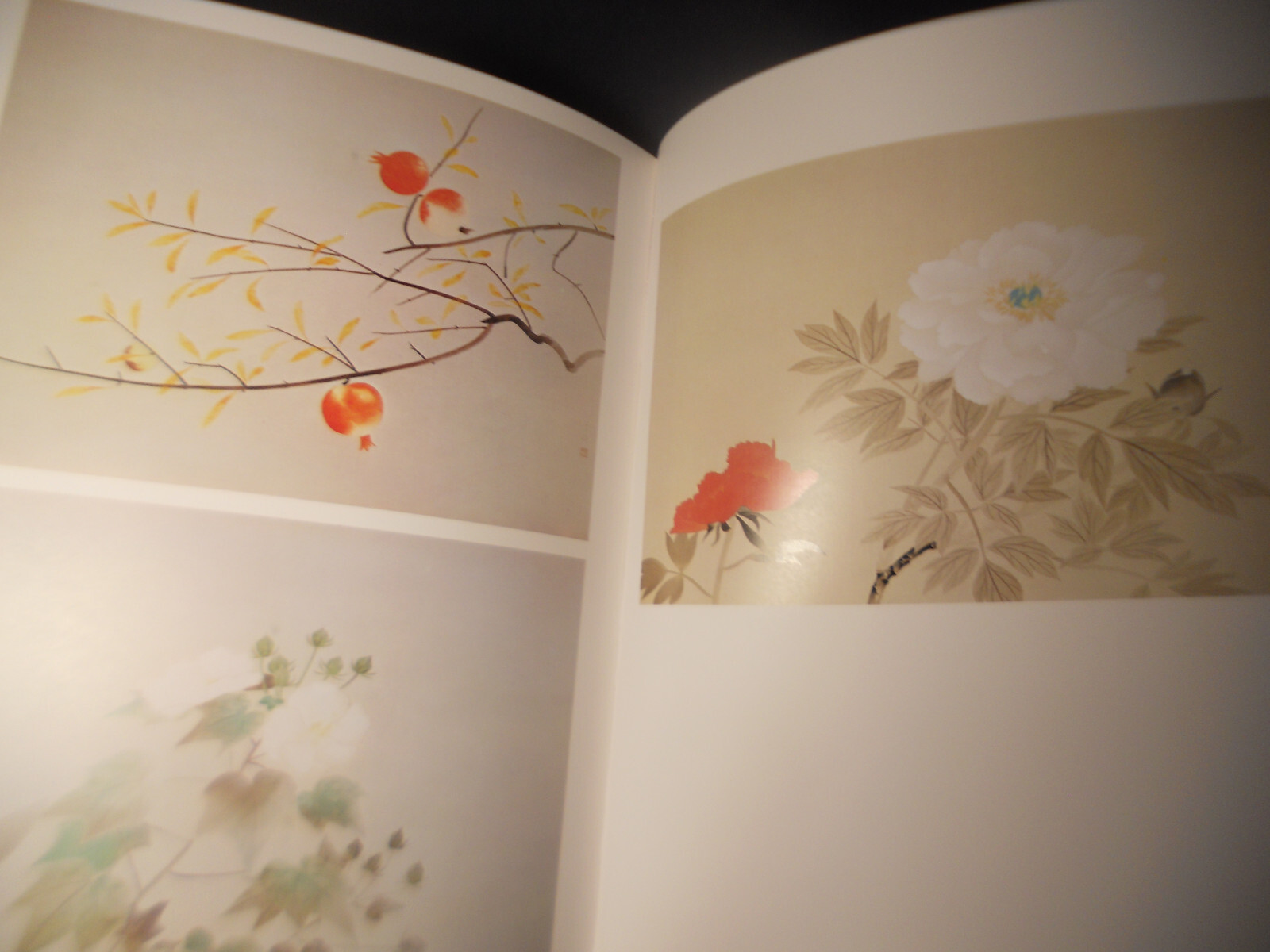 Asian Oriental PRINTS Book w box Japanese or Chinese 980 HB DJ color b/w