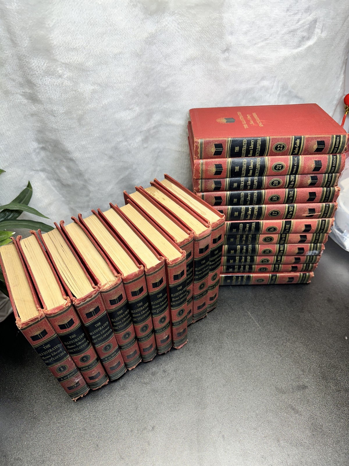 The Illustrated Home Library Encyclopedia Set Vintage (1958) Volume #19 Missing