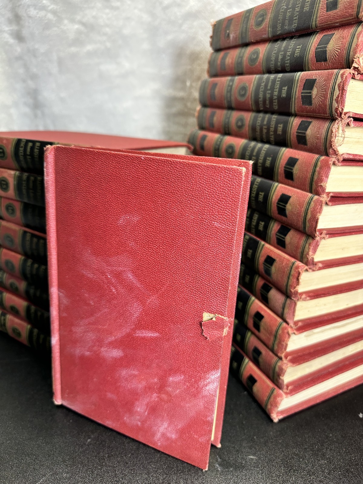 The Illustrated Home Library Encyclopedia Set Vintage (1958) Volume #19 Missing
