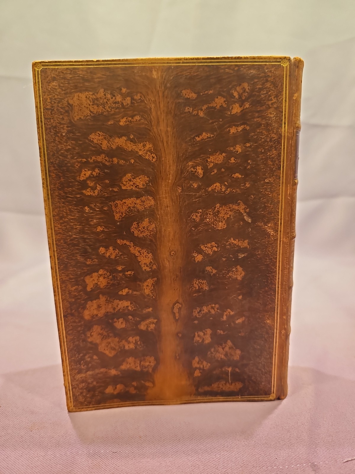 THE POETICAL WORKS OF JOHN MILTON 1904 FINE TREE CALF BINDING