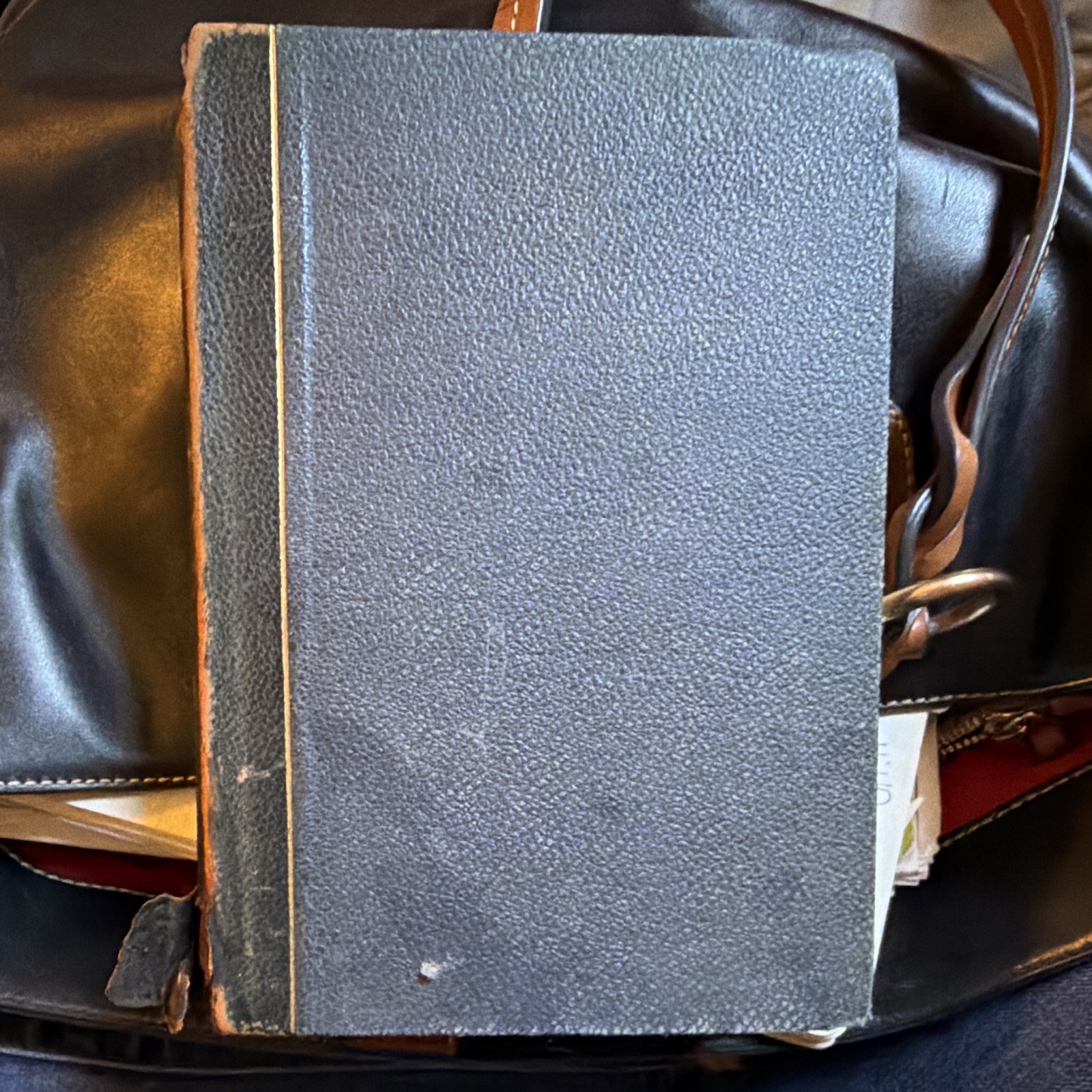 1891 William Shakespeare Works Albion Edition Warne Illustrated Hardcover