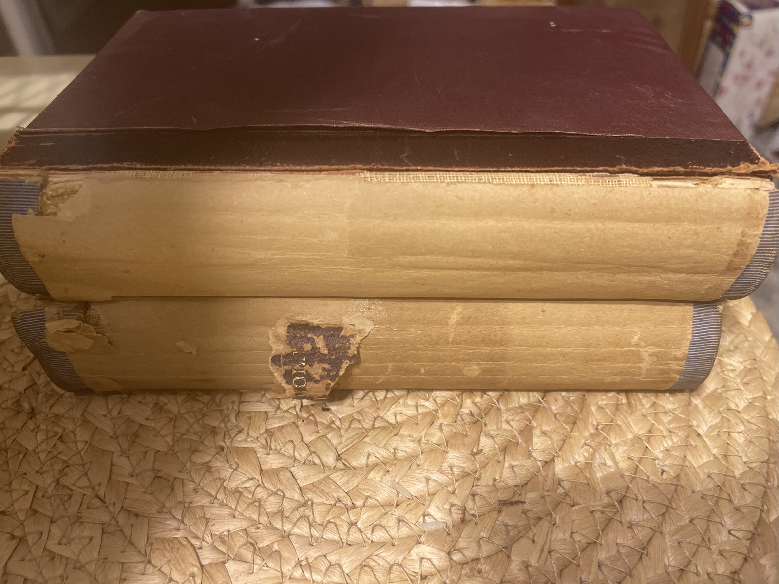 Antique Book 1886 History of Art by Wilhelm Lübke, Vol. I,II