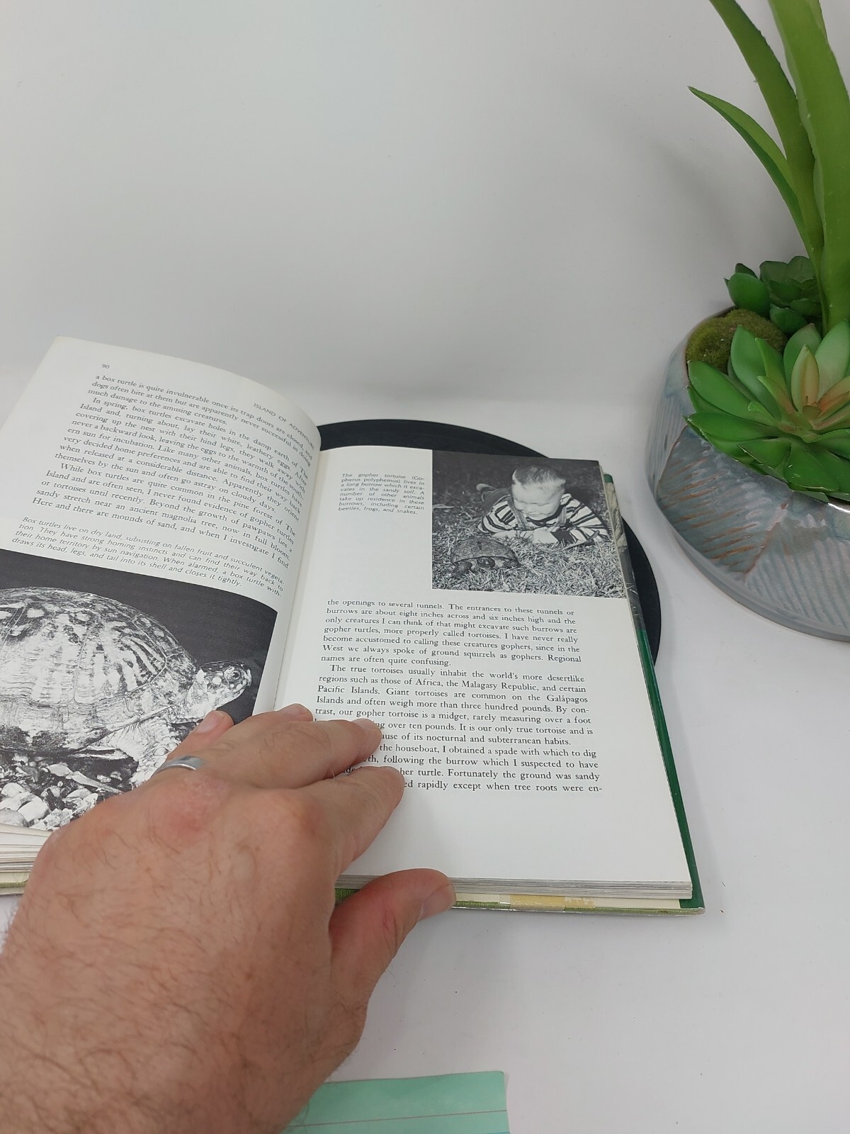 Ross E Hutchins / Island of Adventure Naturalist Explores Gulf Coast 1st ed 1968
