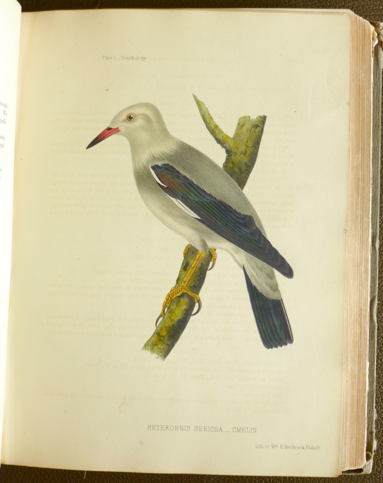 1856 1st Edition. Perry’s Expedition to Japan and the China Vol 2