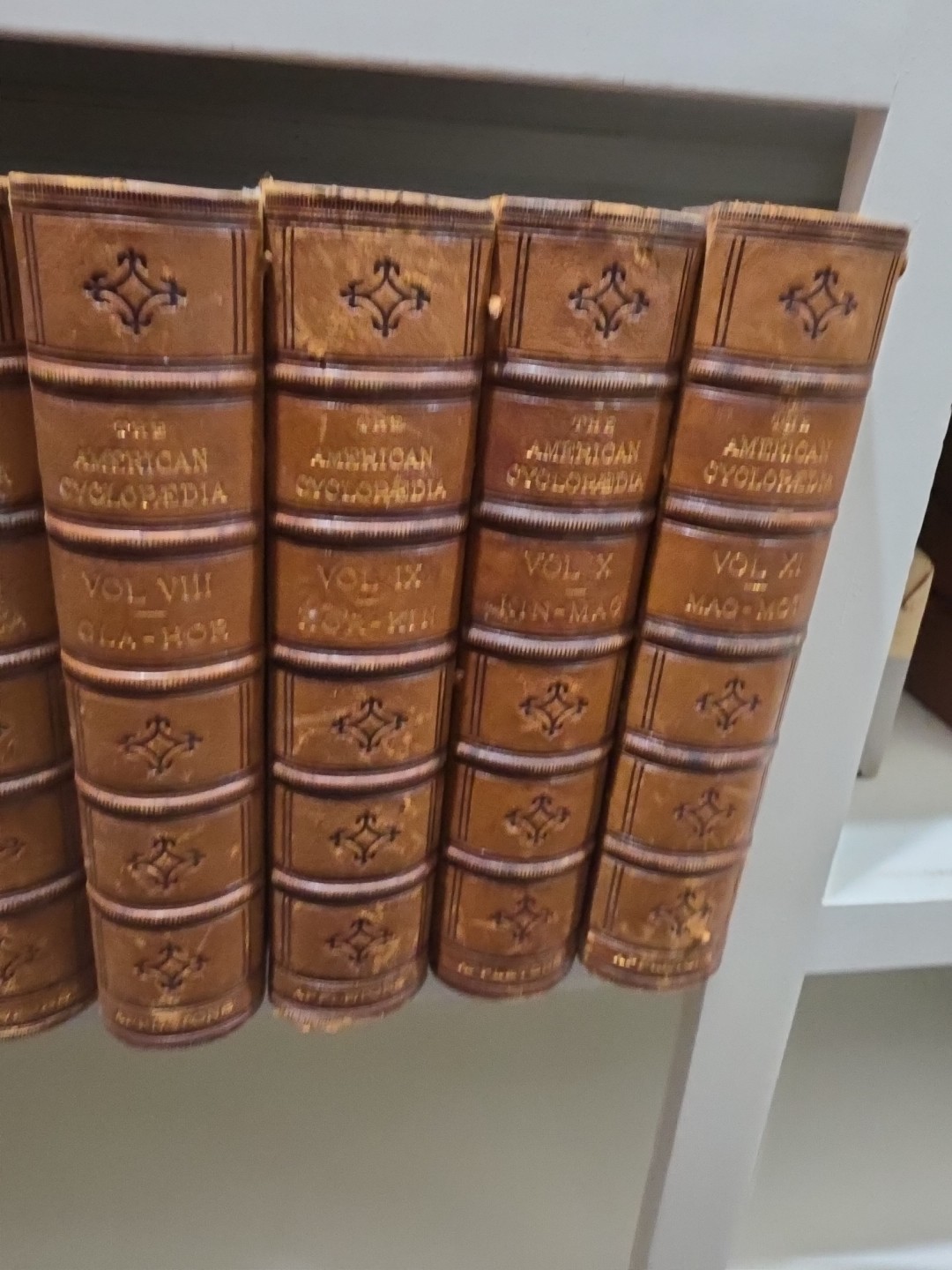 American Cyclopedia 1873 vol 1-11 Antique Good Condition Collectible Historic