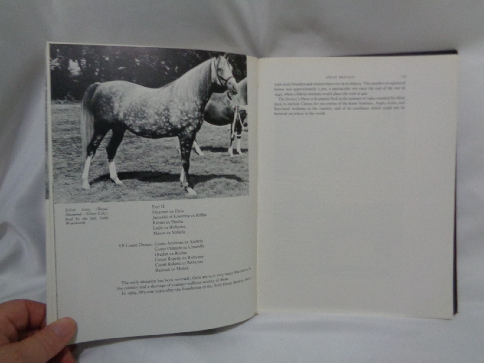 Arabian Exodus Horse Breed History Greeley Original Dustcover