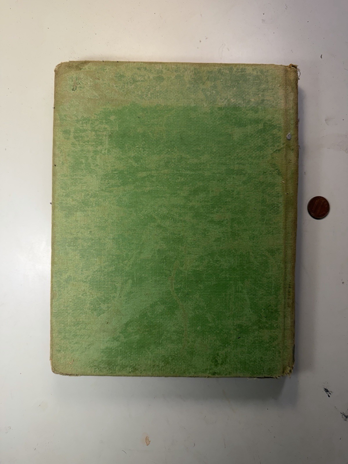 Bible Pictures – 1914 Book – Charles Foster – With Illustrations – A. J. Holman