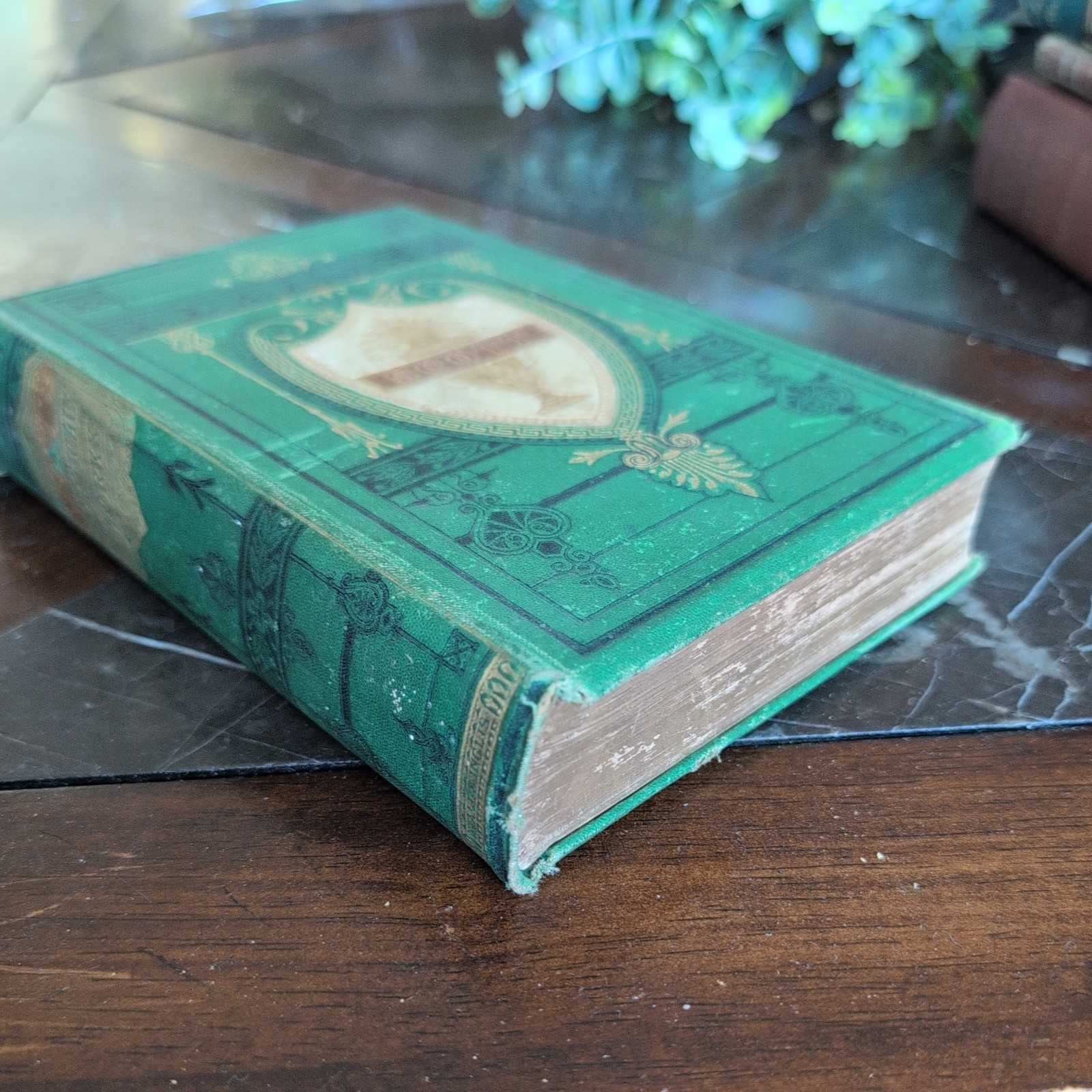 The Poetical Works Of Sir Walter Scott Bart- Gall & Inglis Circa 1870’s
