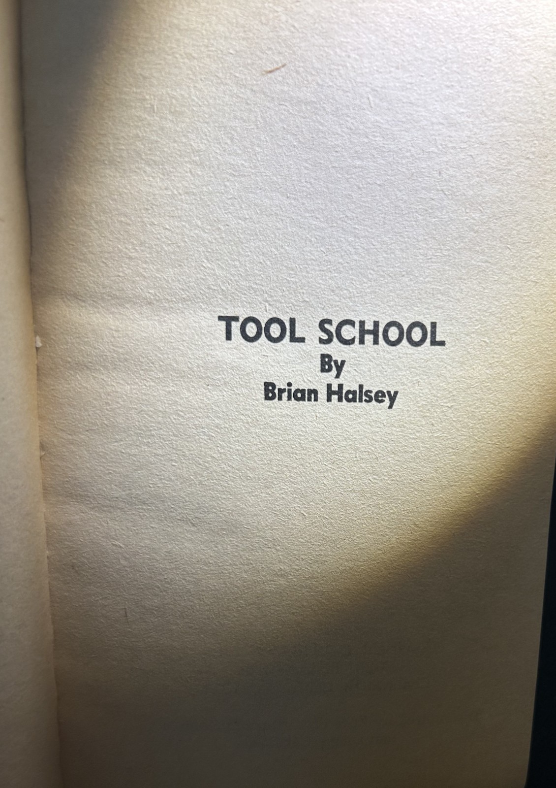 VTG GAY PULP FICTION “Tool School” Brian Halsey (GX Inc Chatsworth CA) Rare PBO